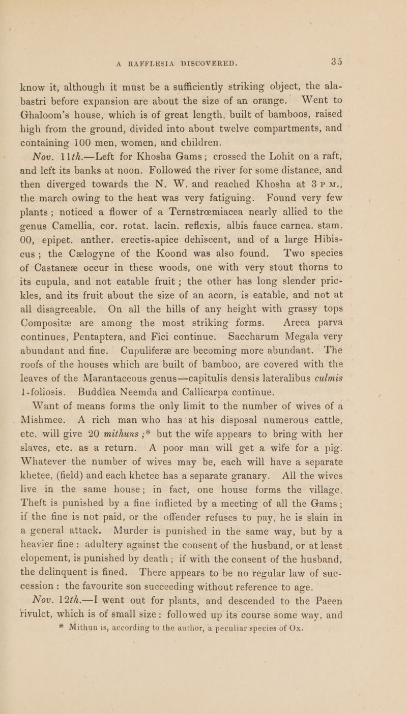 A RAFFLESIA DISCOVERED. 39 know it, although it must be a sufficiently striking object, the ala- bastri before expansion are about the size of an orange. Went to Ghaloom’s house, which is of great length, built of bamboos, raised high from the ground, divided into about twelve compartments, and containing 100 men, women, and children. Nov. 11th.—Left for Khosha Gams; crossed the Lohit on a raft, and left its banks at noon. Followed the river for some distance, and then diverged towards the N. W. and reached Khosha at 3 p.M., the march owing to the heat was very fatiguing. Found very few plants; noticed a flower of a Ternstrcoemiacea nearly allied to the genus Camellia, cor. rotat. lacin. reflexis, albis fauce carnea. stam. 00, epipet. anther. erectis-apice dehiscent, and of a large Hibis- cus; the Celogyne of the Koond was also found. Two species of Castaneze occur in these woods, one with very stout thorns to its cupula, and not eatable fruit ; the other has long slender pric- kles, and its fruit about the size of an acorn, is eatable, and not at all disagreeable. On all the hills of any height with grassy tops Composite are among the most striking forms. Areca parva continues, Pentaptera, and Fici continue. Saccharum Megala very abundant and fine. Cupuliferee are becoming more abundant. The roofs of the houses which are built of bamboo, are covered with the leaves of the Marantaceous genus—capitulis densis lateralibus culmis 1-foliosis. Buddlea Neemda and Callicarpa continue. Want of means forms the only limit to the number of wives of a . Mishmee. A rich man who has at his disposal numerous cattle, etc, will give 20 mithuns ;* but the wife appears to bring with her slaves, etc. as a return. A poor man will get a wife for a pig. Whatever the number of wives may be, each will have a separate khetee, (field) and each khetee has a separate granary. All the wives live in the same house; in fact, one house forms the village. Theft is punished by a fine inflicted by a meeting of all the Gams; if the fine is not paid, or the offender refuses to pay, he is slain in a general attack. Murder is punished in the same way, but by a heavier fine: adultery against the consent of the husband, or at least | elopement, is punished by death; if with the consent of the husband, the delinquent is fined. There appears to be no regular law of suc- cession: the favourite son succeeding without reference to age. Nov. 12th.—I went out for plants, and descended to the Paeen rivulet, which is of small size: followed up its course some way, and * Mithun is, according to the author, a peculiar species of Ox.