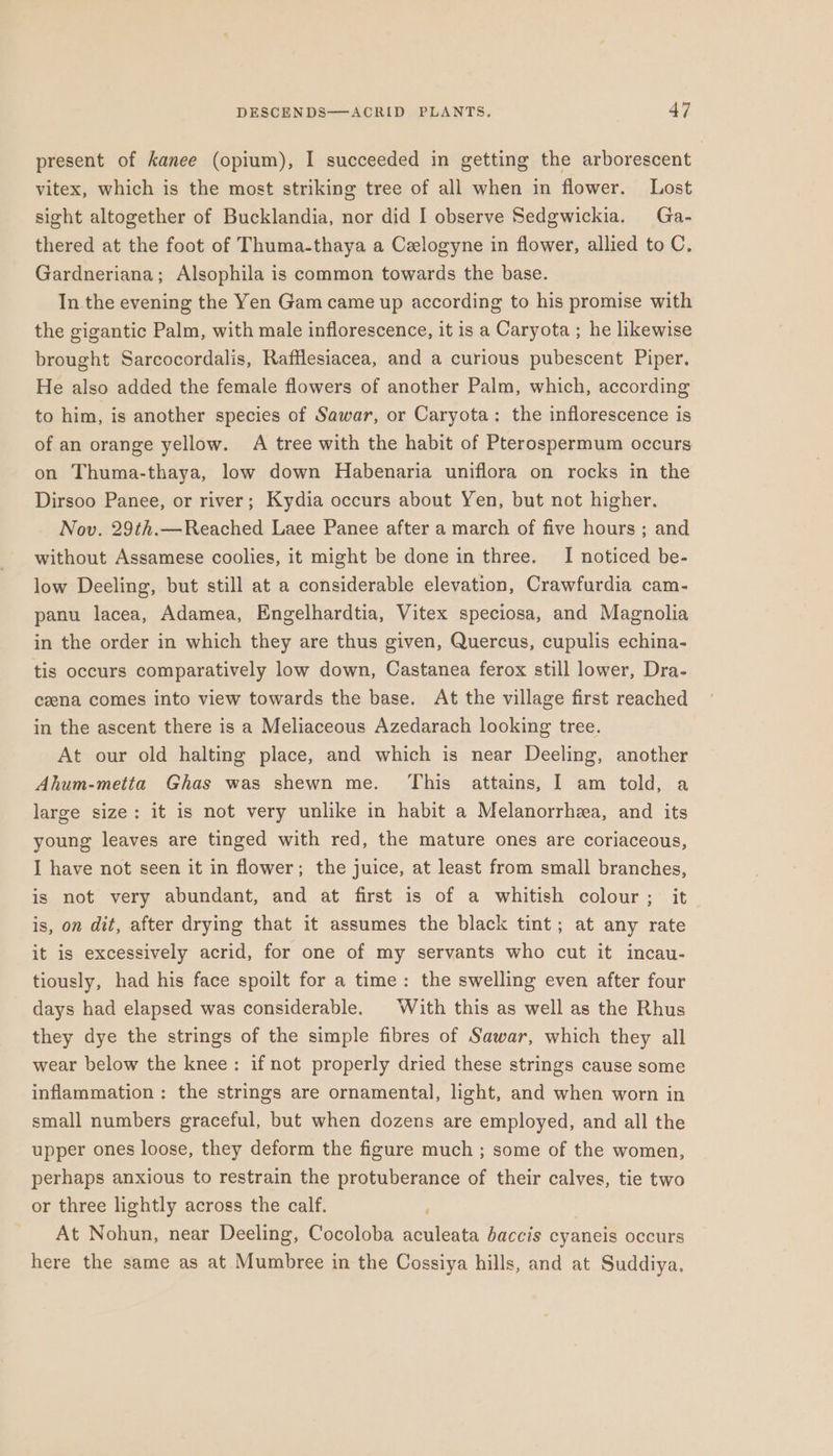 present of kanee (opium), I succeeded in getting the arborescent vitex, which is the most striking tree of all when in flower. Lost sight altogether of Bucklandia, nor did I observe Sedgwickia. Ga- thered at the foot of Thuma-thaya a Celogyne in flower, allied to C. Gardneriana; Alsophila is common towards the base. In the evening the Yen Gam came up according to his promise with the gigantic Palm, with male inflorescence, it is a Caryota ; he likewise brought Sarcocordalis, Rafflesiacea, and a curious pubescent Piper. He also added the female flowers of another Palm, which, according to him, is another species of Sawar, or Caryota: the inflorescence is of an orange yellow. A tree with the habit of Pterospermum occurs on Thuma-thaya, low down Habenaria uniflora on rocks in the Dirsoo Panee, or river; Kydia occurs about Yen, but not higher. Nov. 29th.—Reached Laee Panee after a march of five hours ; and without Assamese coolies, it might be done in three. I noticed be- low Deeling, but still at a considerable elevation, Crawfurdia cam- panu lacea, Adamea, Engelhardtia, Vitex speciosa, and Magnolia in the order in which they are thus given, Quercus, cupulis echina- tis occurs comparatively low down, Castanea ferox still lower, Dra- cena comes into view towards the base. At the village first reached in the ascent there is a Meliaceous Azedarach looking tree. At our old halting place, and which is near Deeling, another Ahum-metta Ghas was shewn me. This attains, I am told, a large size: it is not very unlike in habit a Melanorrhea, and its young leaves are tinged with red, the mature ones are coriaceous, I have not seen it in flower; the juice, at least from small branches, is not very abundant, and at first is of a whitish colour; it is, on dit, after drying that it assumes the black tint; at any rate it is excessively acrid, for one of my servants who cut it incau- tiously, had his face spoilt for a time: the swelling even after four days had elapsed was considerable. With this as well as the Rhus they dye the strings of the simple fibres of Sawar, which they all wear below the knee: if not properly dried these strings cause some inflammation : the strings are ornamental, light, and when worn in small numbers graceful, but when dozens are employed, and all the upper ones loose, they deform the figure much ; some of the women, perhaps anxious to restrain the protuberance of their calves, tie two or three lightly across the calf. ' At Nohun, near Deeling, Cocoloba aculeata baccis cyaneis occurs here the same as at Mumbree in the Cossiya hills, and at Suddiya.