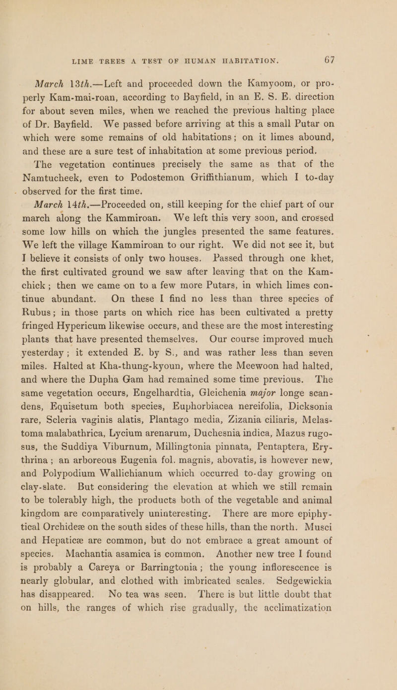 March 13th.—Left and proceeded down the Kamyoom, or pro- perly Kam-mai-roan, according to Bayfield, in an E. 8. E. direction for about seven miles, when we reached the previous halting place of Dr. Bayfield. We passed before arriving at this a small Putar on which were some remains of old habitations; on it limes abound, and these are a sure test of inhabitation at some previous period. The vegetation continues precisely the same as that of the Namtucheek, even to Podostemon Griffithianum, which I to-day . observed for the first time. March 14th.—Proceeded on, still keeping for the chief part of our march along the Kammiroan. We left this very soon, and crossed some low hills on which the jungles presented the same features. We left the village Kammiroan to our right. We did not see it, but I believe it consists of only two houses. Passed through one khet, the first cultivated ground we saw after leaving that on the Kam- chick ; then we came on to a few more Putars, in which limes con- tinue abundant. On these I find no less than three species of Rubus; in those parts on which rice has been cultivated a pretty fringed Hypericum likewise occurs, and these are the most interesting plants that have presented themselves, Our course improved much yesterday ; it extended E. by S., and was rather less than seven miles. Halted at Kha-thung-kyoun, where the Meewoon had halted, and where the Dupha Gam had remained some time previous. The same vegetation occurs, Engelhardtia, Gleichenia major longe scan- dens, Equisetum both species, Euphorbiacea nereifolia, Dicksonia rare, Scleria vaginis alatis, Plantago media, Zizania ciliaris, Melas- toma malabathrica, Lycium arenarum, Duchesnia indica, Mazus rugo- sus, the Suddiya Viburnum, Millingtonia pinnata, Pentaptera, Ery- thrina ; an arboreous Eugenia fol. magnis, abovatis, is however new, and Polypodium Wallichianum which occurred to-day growing on clay-slate. But considering the elevation at which we still remain to be tolerably high, the products both of the vegetable and animal kingdom are comparatively uninteresting. There are more epiphy- tical Orchideze on the south sides of these hills, than the north. Musci and Hepatice are common, but do not embrace a great amount of species. Machantia asamicais common, Another new tree I found is probably a Careya or Barringtonia; the young inflorescence is nearly globular, and clothed with imbricated scales. Sedgewickia has disappeared. No tea was seen. There is but little doubt that on hills, the ranges of which rise gradually, the acclimatization