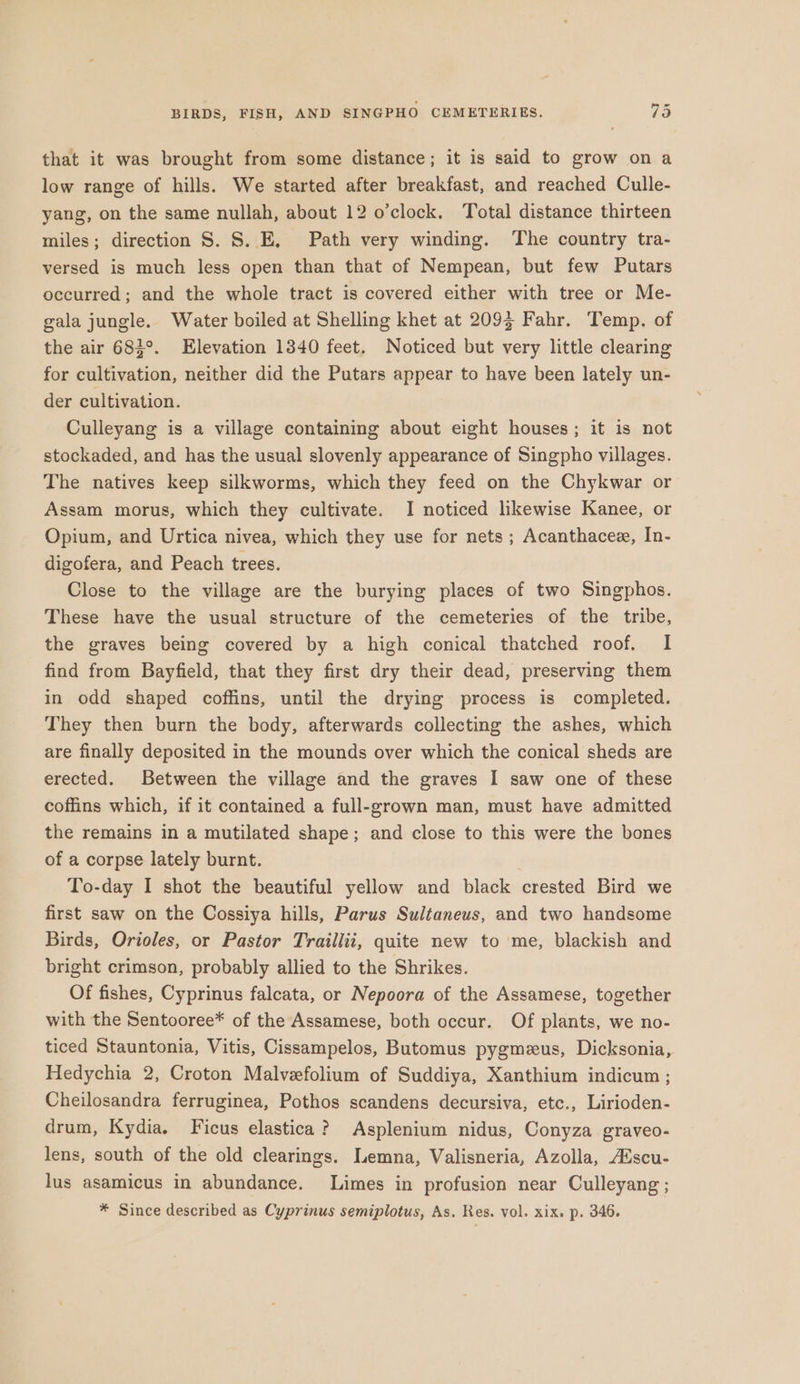 BIRDS, FISH, AND SINGPHO CEMETERIES. 79 that it was brought from some distance; it is said to grow on a low range of hills. We started after breakfast, and reached Culle- yang, on the same nullah, about 12 o’clock, Total distance thirteen miles; direction S. 8. E, Path very winding. The country tra- versed is much less open than that of Nempean, but few Putars occurred; and the whole tract is covered either with tree or Me- gala jungle. Water boiled at Shelling khet at 2093 Fahr. Temp. of the air 683°. Elevation 1340 feet. Noticed but very little clearing for cultivation, neither did the Putars appear to have been lately un- der cultivation. Culleyang is a village containing about eight houses; it is not stockaded, and has the usual slovenly appearance of Singpho villages. The natives keep silkworms, which they feed on the Chykwar or Assam morus, which they cultivate. I noticed likewise Kanee, or Opium, and Urtica nivea, which they use for nets ; Acanthacee, In- digofera, and Peach trees. Close to the village are the burying places of two Singphos. These have the usual structure of the cemeteries of the tribe, the graves being covered by a high conical thatched roof. I find from Bayfield, that they first dry their dead, preserving them in odd shaped coffins, until the drying process is completed. They then burn the body, afterwards collecting the ashes, which are finally deposited in the mounds over which the conical sheds are erected. Between the village and the graves I saw one of these coffins which, if it contained a full-grown man, must have admitted the remains in a mutilated shape; and close to this were the bones of a corpse lately burnt. To-day I shot the beautiful yellow and black crested Bird we first saw on the Cossiya hills, Parus Sultaneus, and two handsome Birds, Orioles, or Pastor Traillii, quite new to me, blackish and bright crimson, probably allied to the Shrikes. Of fishes, Cyprinus falcata, or Nepoora of the Assamese, together with the Sentooree* of the Assamese, both occur. Of plants, we no- ticed Stauntonia, Vitis, Cissampelos, Butomus pygmeus, Dicksonia, Hedychia 2, Croton Malveefolium of Suddiya, Xanthium indicum ; Cheilosandra ferruginea, Pothos scandens decursiva, etc., Lirioden- drum, Kydia. Ficus elastica? Asplenium nidus, Conyza graveo- lens, south of the old clearings. Lemna, Valisneria, Azolla, A®scu- lus asamicus in abundance. Limes in profusion near Culleyang ; * Since described as Cyprinus semiplotus, As. Res. vol. xix. p. 346.