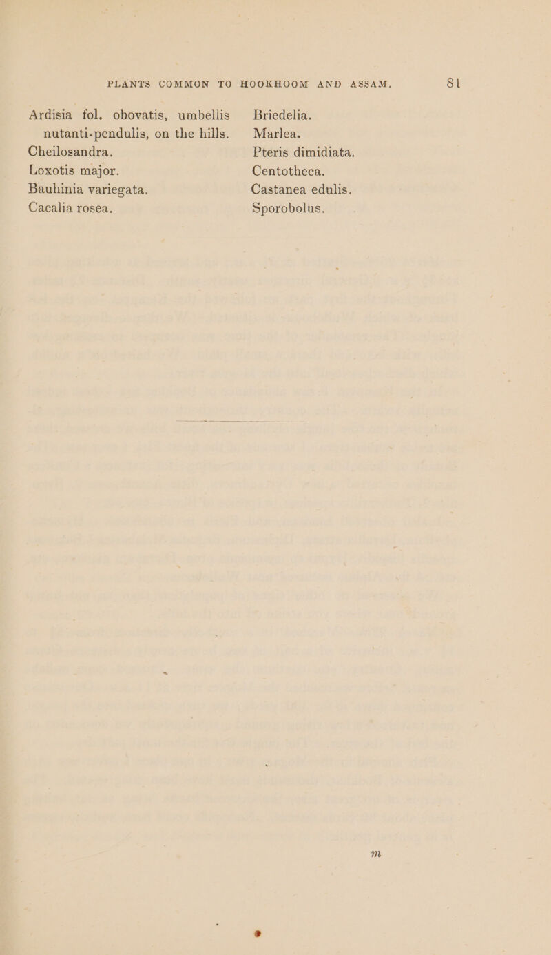 Ardisia fol. obovatis, umbellis Briedelia. nutanti-pendulis, on the hills. Marlea. Cheilosandra. Pteris dimidiata. Loxotis major. Centotheca. Bauhinia variegata. Castanea edulis. Cacalia rosea. Sporobolus. m