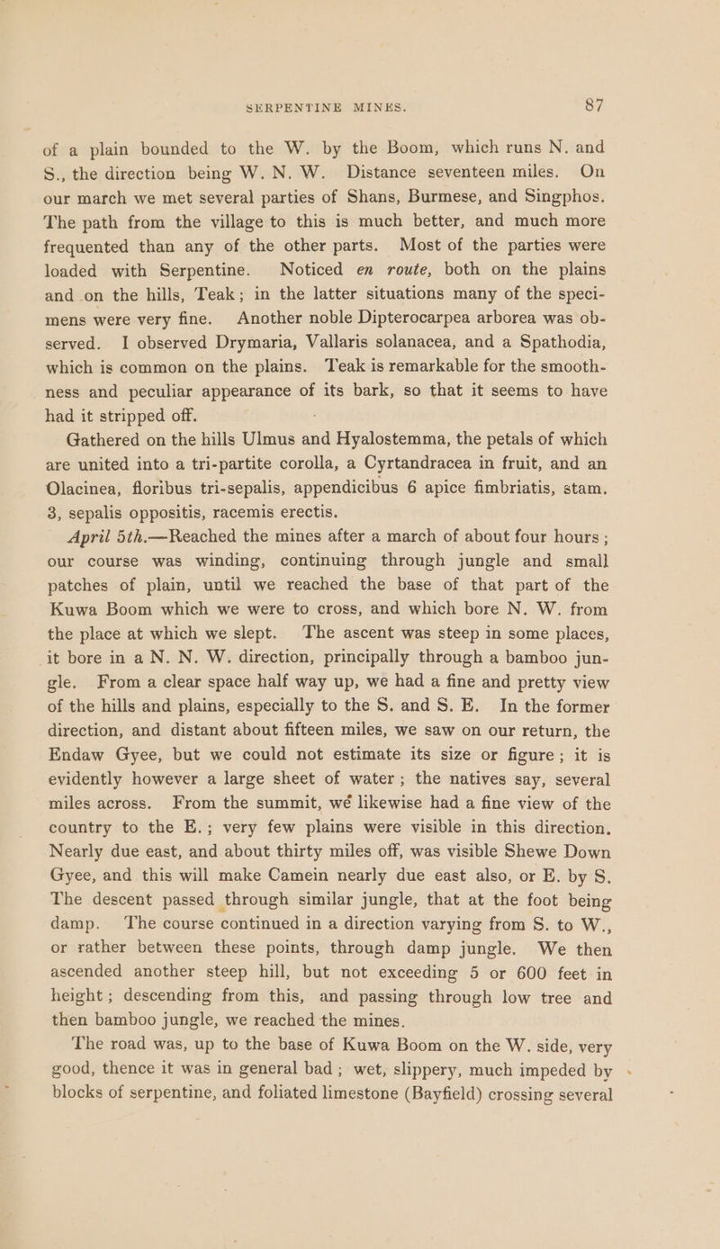 of a plain bounded to the W. by the Boom, which runs N. and S., the direction being W. N. W. Distance seventeen miles. On our march we met several parties of Shans, Burmese, and Singphos. The path from the village to this is much better, and much more frequented than any of the other parts. Most of the parties were loaded with Serpentine. Noticed en route, both on the plains and on the hills, Teak; in the latter situations many of the speci- mens were very fine. Another noble Dipterocarpea arborea was ob- served. I observed Drymaria, Vallaris solanacea, and a Spathodia, which is common on the plains. Teak is remarkable for the smooth- ness and peculiar appearance of its bark, so that it seems to have had it stripped off. Gathered on the hills Ulmus and Hyalostemma, the petals of which are united into a tri-partite corolla, a Cyrtandracea in fruit, and an Olacinea, floribus tri-sepalis, appendicibus 6 apice fimbriatis, stam. 3, sepalis oppositis, racemis erectis. April 5th.—Reached the mines after a march of about four hours ; our course was winding, continuing through jungle and small patches of plain, until we reached the base of that part of the Kuwa Boom which we were to cross, and which bore N. W. from the place at which we slept. The ascent was steep in some places, it bore in a N. N. W. direction, principally through a bamboo jun- gle. From a clear space half way up, we had a fine and pretty view of the hills and plains, especially to the S. and S. E. In the former direction, and distant about fifteen miles, we saw on our return, the Endaw Gyee, but we could not estimate its size or figure; it is evidently however a large sheet of water; the natives say, several miles across. From the summit, wé likewise had a fine view of the country to the E.; very few plains were visible in this direction, Nearly due east, and about thirty miles off, was visible Shewe Down Gyee, and this will make Camein nearly due east also, or E. by S. The descent passed through similar jungle, that at the foot being damp. The course continued in a direction varying from S. to W., or rather between these points, through damp jungle. We then ascended another steep hill, but not exceeding 5 or 600 feet in height ; descending from this, and passing through low tree and then bamboo jungle, we reached the mines. The road was, up to the base of Kuwa Boom on the W. side, very good, thence it was in general bad ; wet, slippery, much impeded by blocks of serpentine, and foliated limestone (Bayfield) crossing several