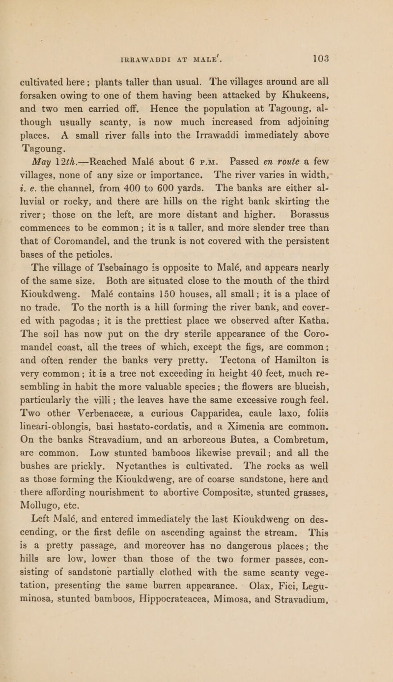 cultivated here; plants taller than usual. The villages around are all forsaken owing to one of them having been attacked by Khukeens, and two men carried off. Hence the population at Tagoung, al- though usually scanty, is now much increased from adjoining places. A small river falls into the Irrawaddi immediately above Tagoung. May 12th.—Reached Malé about 6 p.m. Passed en route a few villages, none of any size or importance. The river varies in width, z. e. the channel, from 400 to 600 yards. The banks are either al- luvial or rocky, and there are hills on the right bank skirting the river; those on the left, are more distant and higher. Borassus commences to be common; it is a taller, and more slender tree than that of Coromandel, and the trunk is not covered with the persistent bases of the petioles. The village of Tsebainago is opposite to Malé, and appears nearly of the same size. Both are situated close to the mouth of the third Kioukdweng. Malé contains 150 houses, all small; it is a place of no trade. To the north is a hill forming the river bank, and cover- ed with pagodas; it is the prettiest place we observed after Katha. The soil has now put on the dry sterile appearance of the Coro- mandel coast, all the trees of which, except the figs, are common ; and often render the banks very pretty. Tectona of Hamilton is very common; it is a tree not exceeding in height 40 feet, much re- sembling in habit the more valuable species; the flowers are blueish, particularly the villi; the leaves have the same excessive rough feel. Two other Verbenacez, a curious Capparidea, caule laxo, foliis lineari-oblongis, basi hastato-cordatis, and a Ximenia are common. On the banks Stravadium, and an arboreous Butea, a Combretum, are common. Low stunted bamboos likewise prevail; and all the bushes are prickly. Nyctanthes is cultivated. The rocks as well as those forming the Kioukdweng, are of coarse sandstone, here and there affording nourishment to abortive Composite, stunted grasses, Mollugo, etc. Left Malé, and entered immediately the last Kioukdweng on des- cending, or the first defile on ascending against the stream. This is a pretty passage, and moreover has no dangerous places; the hills are low, lower than those of the two former passes, con- sisting of sandstone partially clothed with the same scanty vege- tation, presenting the same barren appearance. Olax, Fici, Legu- minosa, stunted bamboos, Hippocrateacea, Mimosa, and Stravadium,