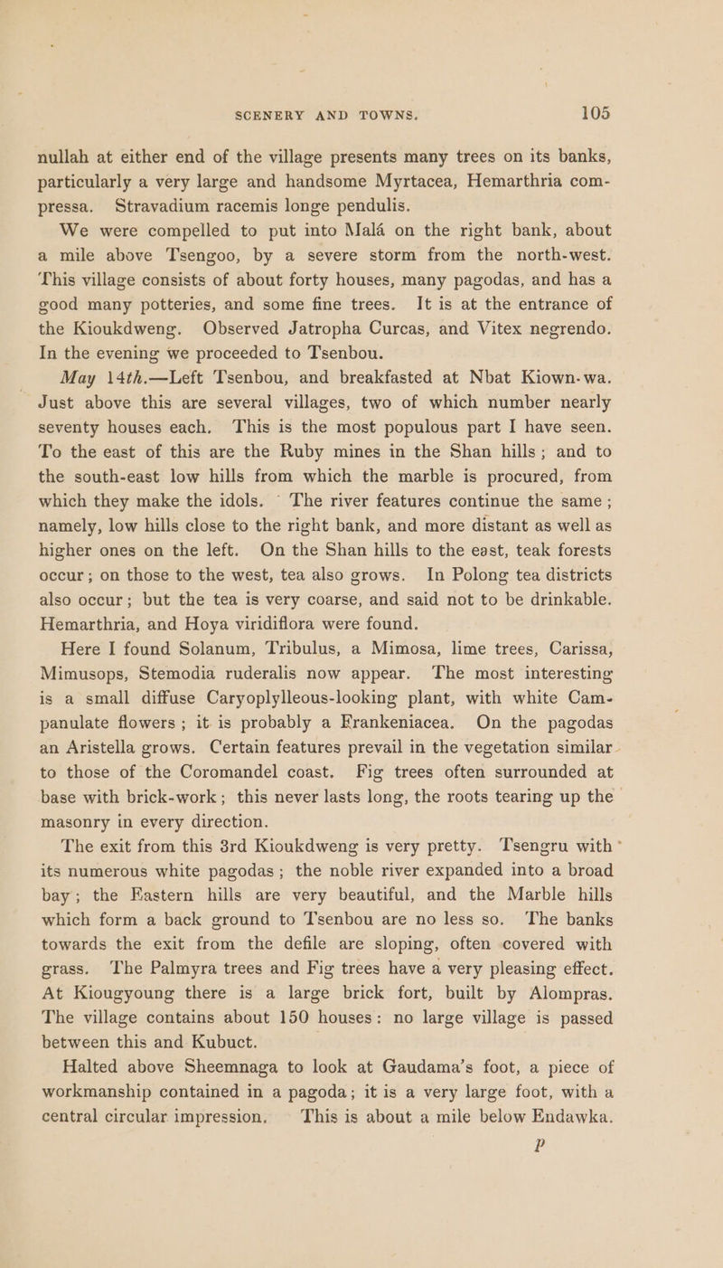 nullah at either end of the village presents many trees on its banks, particularly a very large and handsome Myrtacea, Hemarthria com- pressa. Stravadium racemis longe pendulis. We were compelled to put into Mala on the right bank, about a mile above Tsengoo, by a severe storm from the north-west. This village consists of about forty houses, many pagodas, and has a good many potteries, and some fine trees. It is at the entrance of the Kioukdweng. Observed Jatropha Curcas, and Vitex negrendo. In the evening we proceeded to Tsenbou. May 14th.—Left Tsenbou, and breakfasted at Nbat Kiown. wa. Just above this are several villages, two of which number nearly seventy houses each. This is the most populous part I have seen. To the east of this are the Ruby mines in the Shan hills; and to the south-east low hills from which the marble is procured, from which they make the idols. © The river features continue the same ; namely, low hills close to the right bank, and more distant as well as higher ones on the left. On the Shan hills to the east, teak forests occur ; on those to the west, tea also grows. In Polong tea districts also occur; but the tea is very coarse, and said not to be drinkable. Hemarthria, and Hoya viridiflora were found. Here I found Solanum, Tribulus, a Mimosa, lime trees, Carissa, Mimusops, Stemodia ruderalis now appear. The most interesting is a small diffuse Caryoplylleous-looking plant, with white Cam- panulate flowers ; it. is probably a Krankeniacea. On the pagodas an Aristella grows. Certain features prevail in the vegetation similar to those of the Coromandel coast. Fig trees often surrounded at base with brick-work; this never lasts long, the roots tearing up the masonry in every direction. The exit from this 8rd Kioukdweng is very pretty. T'sengru with ° its numerous white pagodas; the noble river expanded into a broad bay; the Eastern hills are very beautiful, and the Marble hills which form a back ground to Tsenbou are no less so. The banks towards the exit from the defile are sloping, often covered with grass. The Palmyra trees and Fig trees have a very pleasing effect. At Kiougyoung there is a large brick fort, built by Alompras. The village contains about 150 houses: no large village is passed between this and Kubuct. : Halted above Sheemnaga to look at Gaudama’s foot, a piece of workmanship contained in a pagoda; it is a very large foot, with a central circular impression. © This is about a mile below Endawka. P
