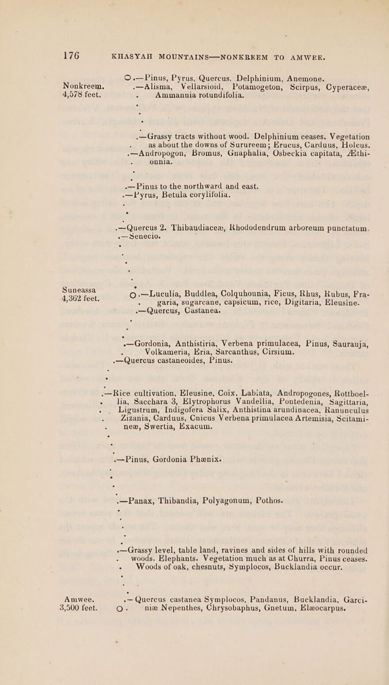 ©.—Pinus, Pyrus, Quercus. Delphinium, Anemone. Nonkreem. .—Alisma, Vellarsioid, Potamogeton, Scirpus, Cyperacee, 4,978 feet. : Ammannia rotundifolia. .—Grassy tracts without wood. Delphinium ceases. Vegetation as about the downs of Surureem; Erucus, Carduus, Holcus. .—Andropogon, Bromus, Gnaphalia, Osbeckia capitata, Authi- onnia. — Pinus to the northward and east. .—Pyrus, Betula corylifolia. .—Quercus 2. Thibaudiaceez, Rhododendrum arboreum punctatum. -— Senecio. ES ©.—Luculia, Buddlea, Colquhounia, Ficus, Rhus, Rubus, Fra- ; ia : garia, sugarcane, capsicum, rice, Digitaria, Eleusine. -—Quercus, Castanea. -—Gordonia, Anthistiria, Verbena primulacea, Pinus, Saurauja, i Volkameria, Eria, Sarcanthus, Cirsium. .—Quercus castaneoides, Pinus. .—Rice cultivation, Eleusine, Coix, Labiata, Andropogones, Rottboel- - lia, Sacchara 3, Elytrophorus Vandellia, Pontedenia, Sagittaria, : Ligustrum, Indigofera Salix, Anthistina arundinacea, Ranunculus Zizania, Carduus, Cnicus Verbena primulacea Artemisia, Scitami- new, Swertia, Exacum. -—Pinus, Gordonia Phenix. .—Panax, Thibandia, Polyagonum, Pothos. ° .—Grassy level, table land, ravines and sides of hills with rounded woods. Elephants. Vegetation much as at Churra, Pinus ceases. - Woods of oak, chesnuts, Symplocos, Bucklandia occur. Amwee. -— Quercus castanea Symplocos, Pandanus, Bucklandia, Garci- 3,900 feet. O- nize Nepenthes, Chrysobaphus, Gnetum, Eleocarpus.