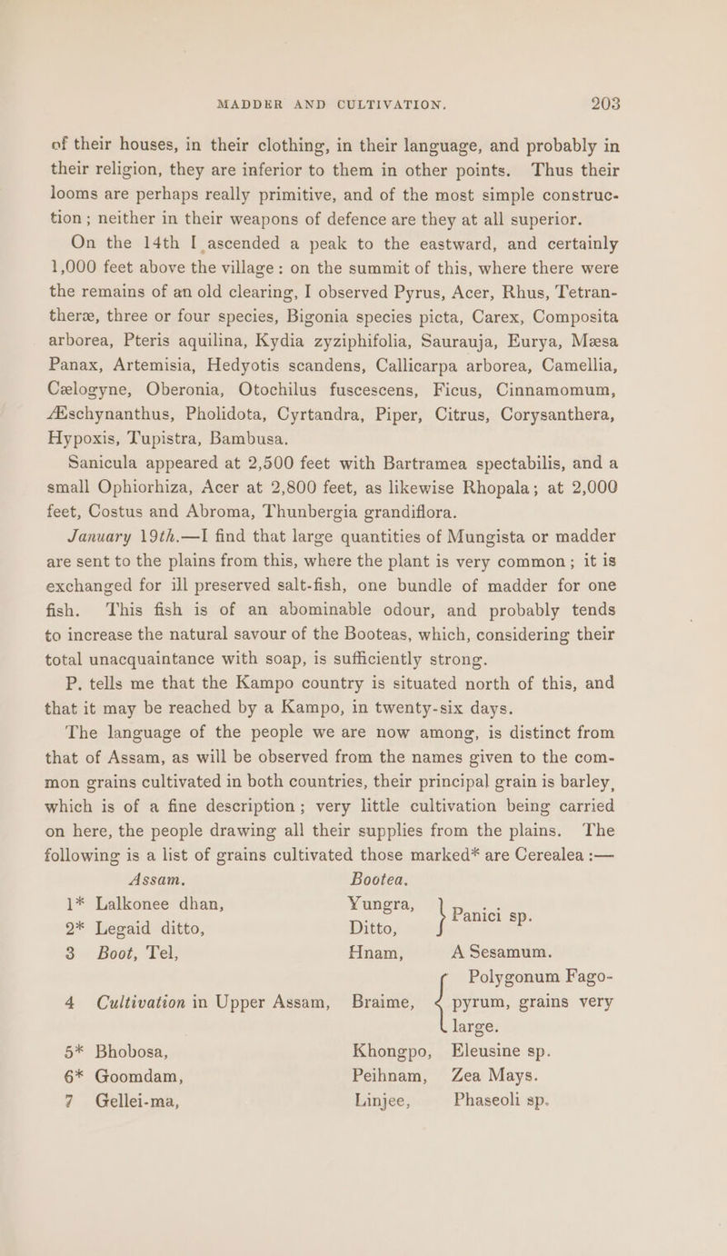 of their houses, in their clothing, in their language, and probably in their religion, they are inferior to them in other points. Thus their looms are perhaps really primitive, and of the most simple construc- tion ; neither in their weapons of defence are they at all superior. On the 14th I ascended a peak to the eastward, and certainly 1,000 feet above the village: on the summit of this, where there were the remains of an old clearing, I observed Pyrus, Acer, Rhus, Tetran- ther, three or four species, Bigonia species picta, Carex, Composita arborea, Pteris aquilina, Kydia zyziphifolia, Saurauja, Eurya, Mesa Panax, Artemisia, Hedyotis scandens, Callicarpa arborea, Camellia, Czlogyne, Oberonia, Otochilus fuscescens, Ficus, Cinnamomum, fschynanthus, Pholidota, Cyrtandra, Piper, Citrus, Corysanthera, Hypoxis, Tupistra, Bambusa. Sanicula appeared at 2,500 feet with Bartramea spectabilis, and a small Ophiorhiza, Acer at 2,800 feet, as likewise Rhopala; at 2,000 feet, Costus and Abroma, Thunbergia grandiflora. January 19th.—I find that large quantities of Mungista or madder are sent to the plains from this, where the plant is very common; it is exchanged for ill preserved salt-fish, one bundle of madder for one fish. This fish is of an abominable odour, and probably tends to increase the natural savour of the Booteas, which, considering their total unacquaintance with soap, is sufficiently strong. P. tells me that the Kampo country is situated north of this, and that it may be reached by a Kampo, in twenty-six days. The language of the people we are now among, is distinct from that of Assam, as will be observed from the names given to the com- mon grains cultivated in both countries, their principal grain is barley, which is of a fine description; very little cultivation being carried on here, the people drawing all their supplies from the plains. The following is a list of grains cultivated those marked* are Cerealea :— Assam, Bootea. 1* Lalkonee dhan, Yungra, } Pnci an. 2* Legaid ditto, Ditto, 3 Boot, Tel, Hnam, A Sesamum. 4 Cultivation in Upper Assam, pyrum, grains very Polygonum Fago- Braime, : large. 5* Bhobosa, Khongpo, Eleusine sp. 6* Goomdam, Peihnam, Zea Mays. 7 Gellei-ma, Linjee, Phaseoli sp.