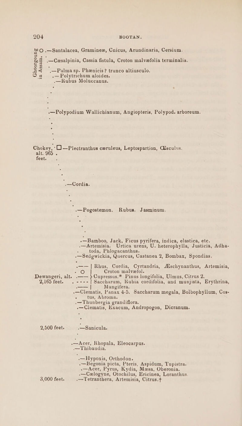 .—Santalacea, Graminez, Cnicus, Arundinaria, Cersium. .—Cesalpinia, Cassia fistula, Croton malvefolia terminalia. \—Palma sp. Phenicis? trunco altiusculo. .— Polytrichum aloides. .—Rubus Moluccanus. Ghoorgoung in Assam. © .—Polypodium Wallichianum, Angiopteris, Polypod. arboreum. Chokey, ° [)—Plectranthus ceruleus, Leptospartion, Gisculus. alt. 965 . feet. '.—Cordia. .—Pogostemon. Rubus. Jasminum. .—Bamboo, Jack, Ficus pyrifera, indica, elastica, etc. .—Artemisia. Urtica urens, U. heterophylla, Justicia, Adha- toda, Phlogacanthus. -—Sedgwickia, Quercus, Castanea 2, Bombax, Spondias. -—— | Rhus, Cordia, Cyrtandria, Auschynanthus, Artemisia, Oe Croton malvefol. Dewangeri, alt. .—— }Cupressus.* Pinus longifolia, Ulmus, Citrus 2. 2,165 feet. . ----{ Saccharum, Rubia cordifolia, and munjista, Erythrina, —— | Mangifera. -—Clematis, Panax 4-5. Saccharum megala, Bolbophyllum, Cos- ; tus, Abroma. .—Thunbergia grandiflora. -—Clematis, Exacum, Andropogon, Dicranum. 2,500 feet. ,—Sanicula. rh cer, Rhopala, Eleocarpus. —Thibaudia. .— Hypoxis, Orthodon. .— Begonia picta, Pteris, Aspidum, Tupistra. .—Acer, Pyrus, Kydia, Mesa, Oberonia. .—Celogyne, Otochilus, Ericinea, Loranthus. 3,000 feet. .—Tetranthera, Artemisia, Citrus.t