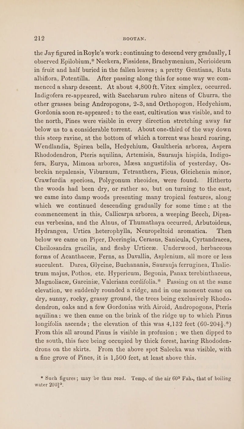 the Jay figured in Royle’s work: continuing to descend very gradually, I observed Epilobium,* Neckera, Fissidens, Brachymenium, Nerioideum in fruit and half buried in the fallen leaves; a pretty Gentiana, Ruta albiflora, Potentilla. After passing along this for some way we com- menced a sharp descent. At about 4,800 ft. Vitex simplex, occurred. Indigofera re-appeared, with Saccharum rubro nitens of Churra, the other grasses being Andropogons, 2-3,and Orthopogon, Hedychium, Gordonia soon re-appeared : to the east, cultivation was visible, and to the north, Pines were visible in every direction stretching away far below us to a considerable torrent. About one-third of the way down this steep ravine, at the bottom of which a torrent was heard roaring, Wendlandia, Spireea bella, Hedychium, Gaultheria arborea, Aspera Rhododendron, Pteris aquilina, Artemisia, Saurauja hispida, Indigo- fera, Eurya, Mimosa arborea, Meesa angustifolia of yesterday, Os- beckia nepalensis, Viburnum, Tetranthera, Ficus, Gleichenia minor, Crawfurdia speciosa, Polygonum rheoides, were found. Hitherto the woods had been dry, or rather so, but on turning to the east, we came into damp woods presenting many tropical features, along which we continued descending gradually for some time: at the commencement in this, Callicarpa arborea, a weeping Beech, Dipsa- cus verbesina, and the Alnus, of Thumathaya occurred, Arbutoideus, Hydrangea, Urtica heterophylla, Neuropeltoid aromatica. Then below we came on Piper, Deeringia, Cerasus, Sanicula, Cyrtandracea, Cheilosandra gracilis, and fleshy Urticeze. Underwood, herbaceous forms of Acanthacez, Ferns, as Davallia, Asplenium, all more or less succulent. Darea, Glycine, Buchanania, Saurauja ferruginea, Thalic. trum majus, Pothos, etc. Hypericum, Begonia, Panax terebinthaceus, Magnoliace, Garcinie, Valeriana cordifolia.* Passing on at the same elevation, we suddenly rounded a ridge, and in one moment came on dry, sunny, rocky, grassy ground, the trees being exclusively Rhodo- dendron, oaks and a few Gordonias with Airoid, Andropogons, Pteris aquilina: we then came on the brink of the ridge up to which Pinus longifolia ascends; the elevation of this was 4,132 feet (60-2044.*) From this all around Pinus is visible in profusion; we then dipped to the south, this face being occupied by thick forest, having Rhododen- drons on the skirts. From the above spot Saleeka was visible, with a fine grove of Pines, it is 1,500 feet, at least above this. * Such figures; may be thus read. Temp. of the air 60° Fah., that of boiling water 20429.