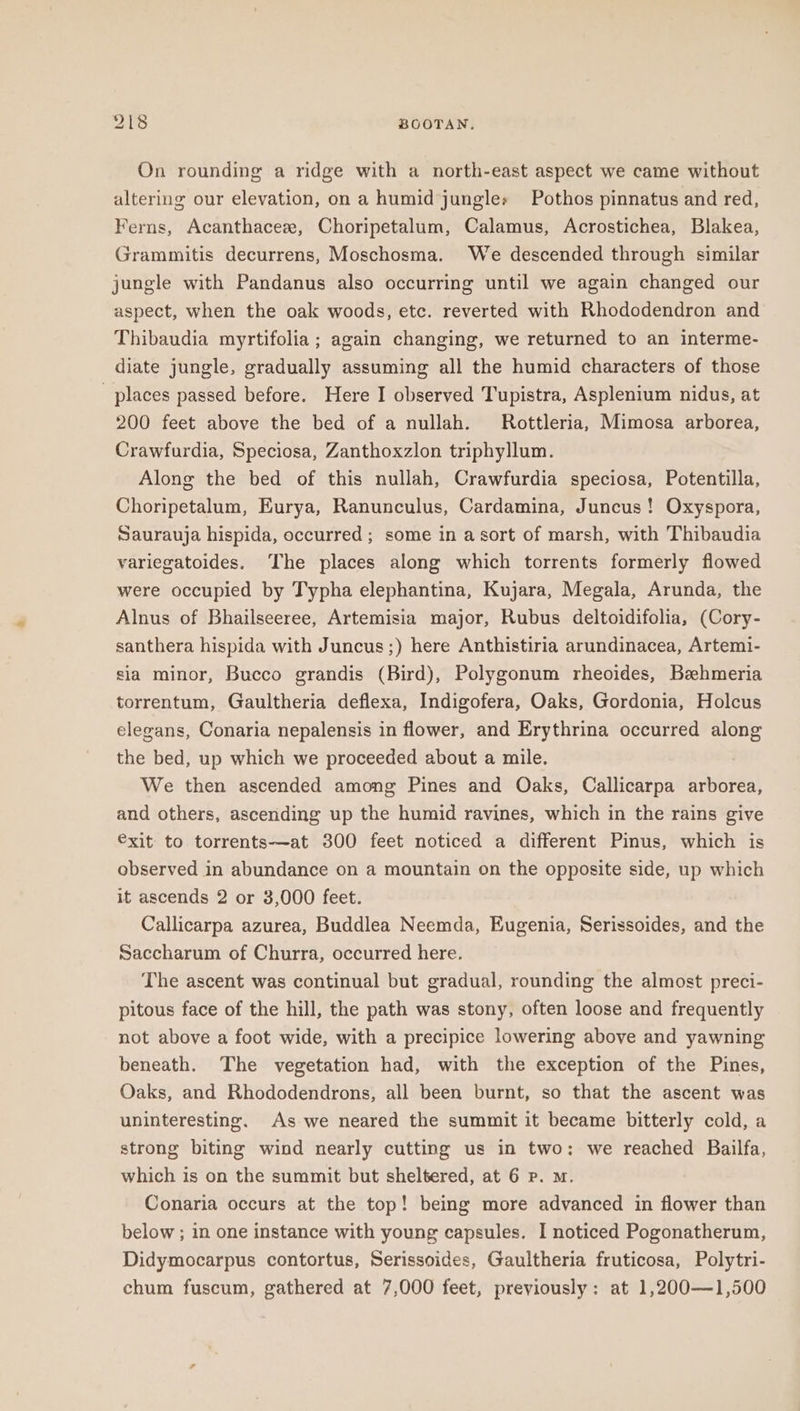 On rounding a ridge with a north-east aspect we came without altering our elevation, on a humid jungles Pothos pinnatus and red, Ferns, Acanthacez, Choripetalum, Calamus, Acrostichea, Blakea, Grammitis decurrens, Moschosma. We descended through similar jungle with Pandanus also occurring until we again changed our aspect, when the oak woods, etc. reverted with Rhododendron and Thibaudia myrtifolia ; again changing, we returned to an interme- diate jungle, gradually assuming all the humid characters of those _ places passed before. Here I observed Tupistra, Asplenium nidus, at 200 feet above the bed of a nullah. Rottleria, Mimosa arborea, Crawfurdia, Speciosa, Zanthoxzlon triphyllum. Along the bed of this nullah, Crawfurdia speciosa, Potentilla, Choripetalum, Eurya, Ranunculus, Cardamina, Juncus! Oxyspora, Saurauja hispida, occurred; some in a sort of marsh, with Thibaudia variegatoides. The places along which torrents formerly flowed were occupied by Typha elephantina, Kujara, Megala, Arunda, the Alnus of Bhailseeree, Artemisia major, Rubus deltoidifolia, (Cory- santhera hispida with Juncus ;) here Anthistiria arundinacea, Artemi- sia minor, Bucco grandis (Bird), Polygonum rheoides, Behmeria torrentum, Gaultheria deflexa, Indigofera, Oaks, Gordonia, Holcus elegans, Conaria nepalensis in flower, and Erythrina occurred along the bed, up which we proceeded about a mile. We then ascended among Pines and Oaks, Callicarpa arborea, and others, ascending up the humid ravines, which in the rains give €xit to torrents-—-at 300 feet noticed a different Pinus, which is observed in abundance on a mountain on the opposite side, up which it ascends 2 or 3,000 feet. Callicarpa azurea, Buddlea Neemda, Eugenia, Serissoides, and the Saccharum of Churra, occurred here. The ascent was continual but gradual, rounding the almost preci- pitous face of the hill, the path was stony, often loose and frequently not above a foot wide, with a precipice lowering above and yawning beneath. The vegetation had, with the exception of the Pines, Oaks, and Rhododendrons, all been burnt, so that the ascent was uninteresting. As we neared the summit it became bitterly cold, a strong biting wind nearly cutting us in two: we reached Bailfa, which is on the summit but sheltered, at 6 P. m. Conaria occurs at the top! being more advanced in flower than below ; in one instance with young capsules. I noticed Pogonatherum, Didymocarpus contortus, Serissoides, Gaultheria fruticosa, Polytri- chum fuscum, gathered at 7,000 feet, previously: at 1,200—1,500