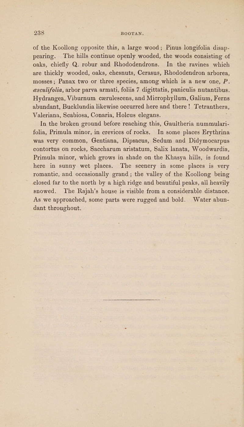 of the Koollong opposite this, a large wood; Pinus longifolia disap- pearing. The hills continue openly wooded, the woods consisting of oaks, chiefly Q. robur and Rhododendrons. In the ravines which are thickly wooded, oaks, chesnuts, Cerasus, Rhododendron arborea, mosses; Panax two or three species, among which is a new one, P. esculifolia, arbor parva armati, foliis 7 digittatis, paniculis nutantibus. Hydrangea, Viburnum cerulescens, and Microphyllum, Galium, Ferns abundant, Bucklundia likewise occurred here and there ! Saran bere, Valeriana, Scabiosa, Conaria, Holcus elegans. In the broken ground before reaching this, Gaultheria nummulari- folia, Primula minor, in crevices of rocks. In some places Erythrina was very common, Gentiana, Dipsacus, Sedum and Didymocarpus contortus on rocks, Saccharum aristatum, Salix lanata, Woodwardia, Primula minor, which grows in shade on the Khasya hills, is found here in sunny wet places. The scenery in some places is very romantic, and occasionally grand; the valley of the Koollong being closed far to the north by a high ridge and beautiful peaks, all heavily snowed. The Rajah’s house is visible from a considerable distance. As we approached, some parts were rugged and bold. Water abun- dant throughout.