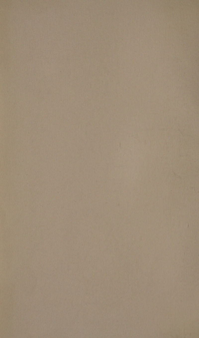 nN UT Peith et MAR Shy ae PAY ste A, i eA Bee 5