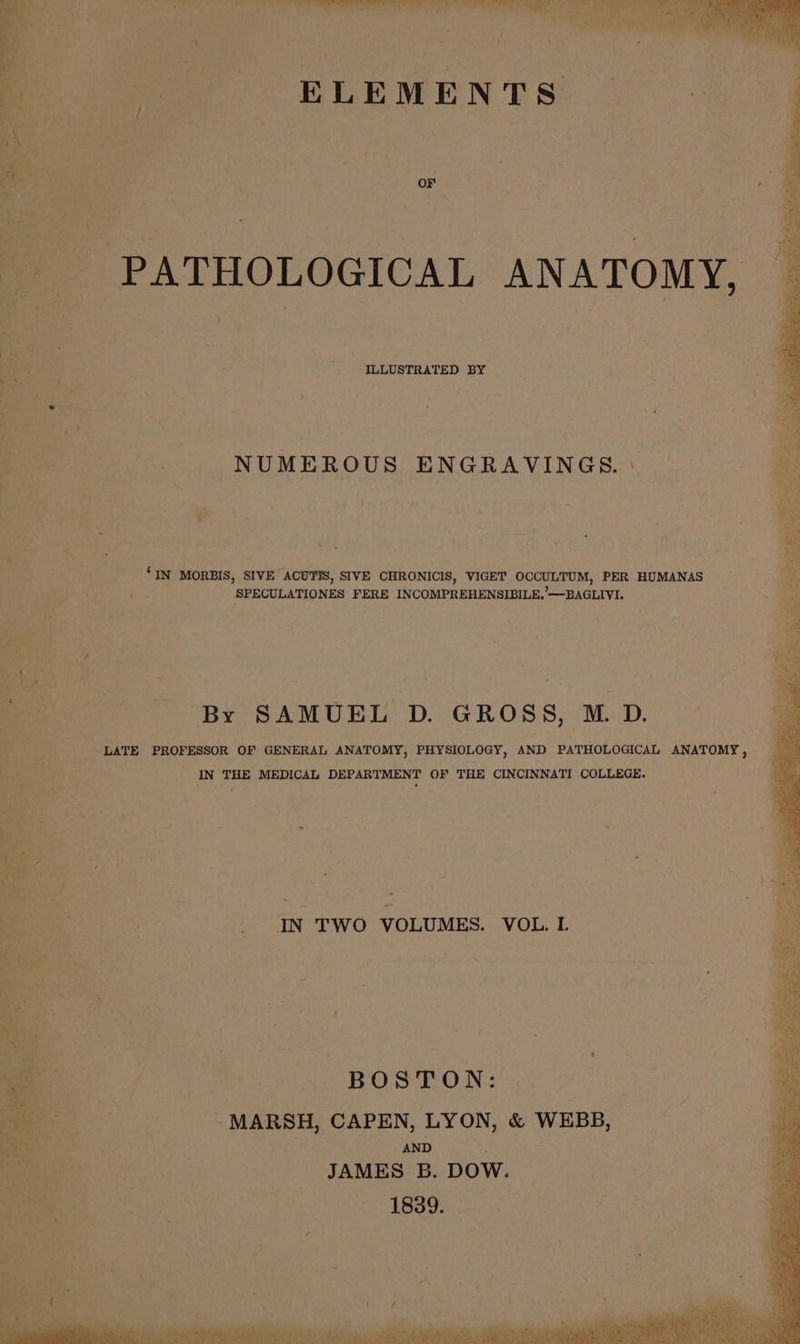 _ if er ELEMENTS OF ; . Rea asc _ PATHOLOGICAL ANATOMY, ~ , ILLUSTRATED BY NUMEROUS ENGRAVINGS. _ — ‘IN MORBIS, SIVE ACUTYS, SIVE CHRONICIS, VIGET OCCULTUM, PER Bunanas ! 4 . SPECULATIONES FERE INCOMPREHENSIBILE.’—BAGLIVI. ' 4 i By SAMUEL D. GROSS, M.D. LATE PROFESSOR OF GENERAL ANATOMY, ) PHYSIOLOGY, AND PATHOLOGICAL ANATOMY , IN THE MEDICAL DEPARTMENT OF THE CINCINNATI COLLEGE. IN TWO VOLUMES. VOL. I | : BOSTON: | ea ; MARSH, CAPEN, LYON, &amp; WEBB, | AND : JAMES B. DOW. 1839. | P