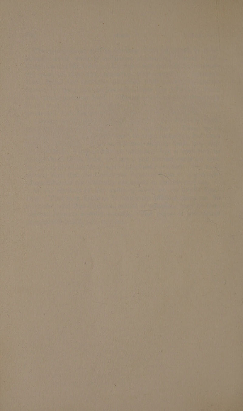 Oy im ry, A i ‘ I f j fi ty ne pantie hae ' Cae Bie \, ir A Lai $3 aa