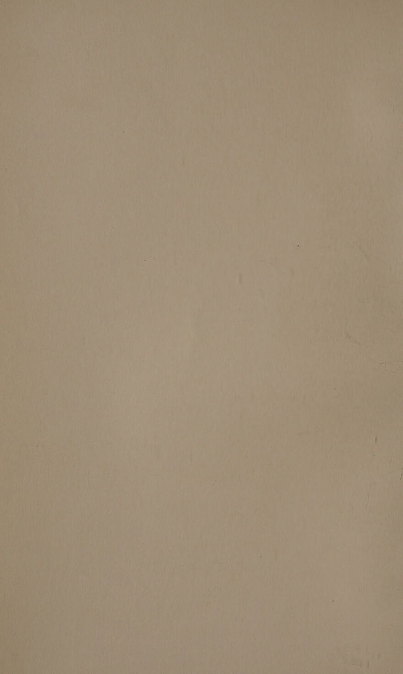 Oey A i ‘ ‘ ps Aaa , - tl ea es / rs + Th { an