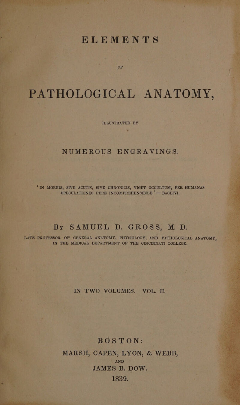 oF ‘ ILLUSTRATED BY s | ( NUMEROUS ENGRAVINGS. ‘IN MORBIS, SIVE ACUTIS, SIVE CHRONICIS, VIGET OCCULTUM, PER HUMANAS SPECULATIONES FERE INCOMPREHENSIBILE.’— BAGLIVI. By SAMUEL D. GROSS, M.D. ? “LATE PROFESSOR OF GENERAL ANATOMY, PHYSIOLOGY, AND PATHOLOGICAL ANATOMY } ys IN THE MEDICAL ‘DEPARTMENT OF THE CINCINNATI COLLEGE. IN TWO VOLUMES. VOL. IL. BO ied AGE Heat MARSH, CAPEN, LYON, &amp; WEBB, ' AND Pa | _ JAMES B. DOW. eae TSAO tus | .