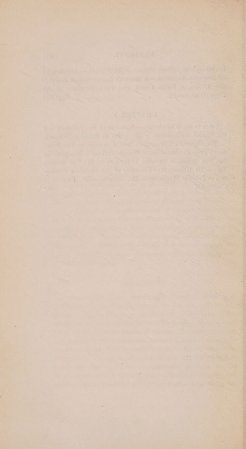 | oie Noyce celiac aE : at at Bieenyat) sv dsilde, Rom: ; ; ai sce ceams YY soa ita cust De A f i Px, be. ) “or ne “Gg. ee 4 as a Se ee es (Nea See ea ‘Bulat heatetis &amp; mi 7 sistanaRe—caucslnlld 5 gilt uns A oa,” i Ss oa rd hal ‘bebe DUA ion o Wieg es ns arp a ‘fig SORIA ae a er tiga Aagiiont eta ehle won as ; Bere. ne a: a ae 0 a i! Pepe SNhoseR Be of Rhee seq? davhdink 4d) to atonal’) Ae pee Bete So tishaee a een Sie et a} ce x he hiss hae a = 7 ee oH, rq a4 . al: = ee - “dy . DO om an &lt; “Sa bee ae se tg ee ar ee Paes es 7 wy . = - hy LM q * v i’ Tiss. a. | _— a ps 7 ~. % Ay . t fi Sad a” Lae a ee = - . y ‘ = “ “a , ‘ naa *) or] bal A * a ‘ ‘ hr. * ‘ ry ‘ ae = =, ~... “G3 i Ty’ &lt;9 wy a a ~, ~. ee he 4 &amp; at x _ aa : J . 7 Sard * he . iy - . 7 : &gt;, FI Pa - a A he “a A ee Re WIGS Soak . - wy z i . ae eer. SA He Sea | Bens i co Aes re WEL oe; sot SRS aq pi sii i li te A ea ee ‘Sel ae acne Se Wee, r. ti. é ‘ me eer inne be