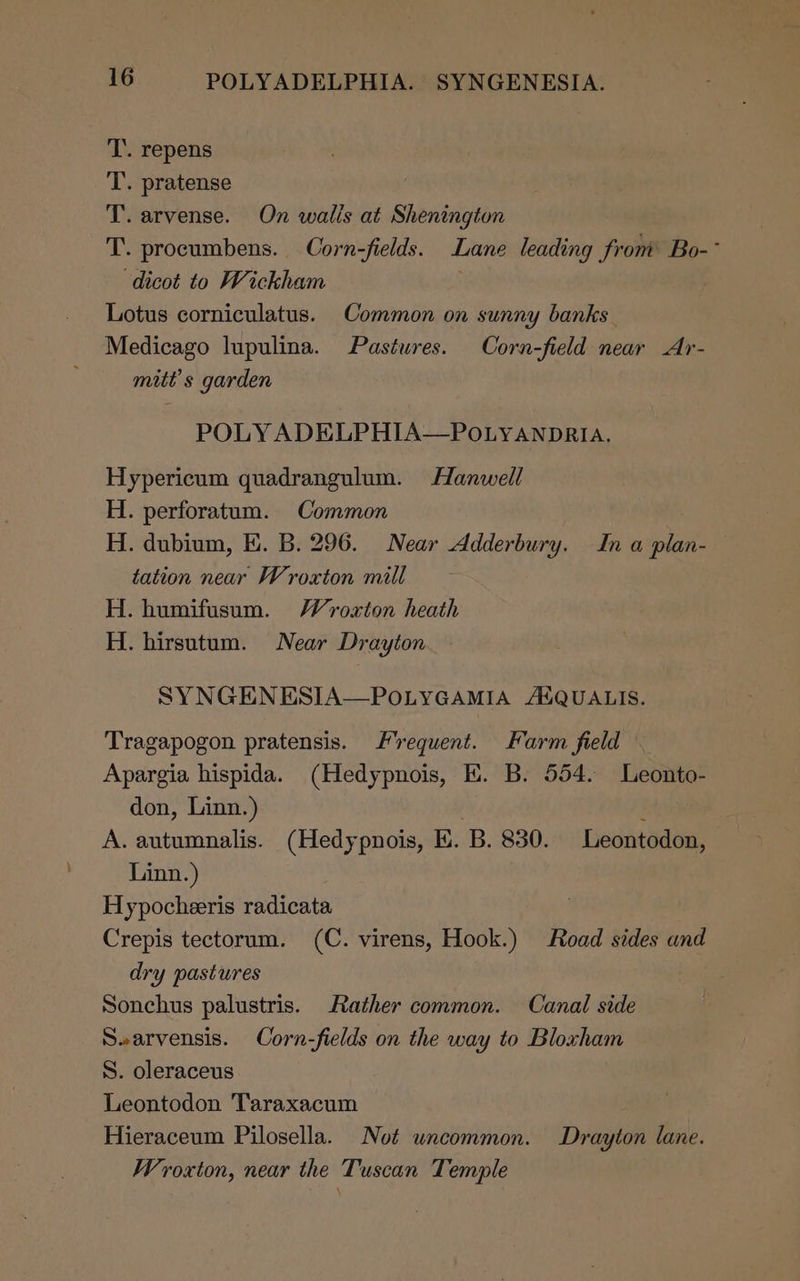 T. repens T. pratense T. arvense. On walls at Shenington T. procumbens. Corn-fields. Lane leading from Bo-° dicot to Wickham ; | Lotus corniculatus. Common on sunny banks Medicago lupulina. Pastures. Corn-field near Ar- mitt’s garden POLY ADELPHIA—POLYANDRIA. Hypericum quadrangulum. Hanwell H. perforatum. Common H. dubium, E. B. 296. Near Adderbury. In a plan- tation near Wroxton mill H. humifusum. Wroxton heath H. hirsutum. Near Drayton SYNGENESIA—POLYGAMIA ASQUALIS. Tragapogon pratensis. Hrequent. Farm field Apargia hispida. (Hedypnois, KH. B. 554. Leonto- don, Linn.) : | A. autumnalis. (Hedypnois, K. B. 830. Leontodon, Linn.) Hypocheeris radicata Crepis tectorum. (C. virens, Hook.) Road sides and dry pastures Sonchus palustris. Rather common. Canal side Searvensis. Corn-fields on the way to Bloxham S. oleraceus Leontodon Taraxacum | Hieraceum Pilosella. Not uncommon. Drayton lane. Wroxton, near the Tuscan Temple