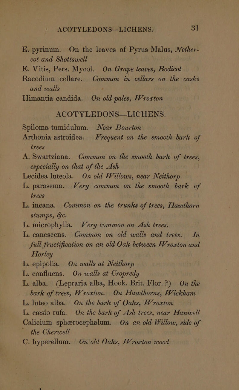 K. pyrinum. On the leaves of Pyrus Malus, WNether- cot and Shottswell K. Vitis, Pers. Mycol. On Grape leaves, Bodicot Racodium cellare. Common in cellars on the casks and walls | Himantia candida. On old pales, Wroxton ACOTYLEDONS—LICHENS. Spiloma tumidulum. Near Bourton Arthonia astroidea. Frequent on the smooth bark of trees A. Swartziana. Common on the smooth bark of trees, especially on that of the Ash Lecidea luteola. On old Willows, near Neithorp L. parasema. Very common on the smooth bark of trees L. incana. Common on the trunks of trees, Hawthorn stumps, Se. F L. microphylla. Very common on Ash trees. L. canescens. Common on old walls and trees. In full fructification on an old Oak between Wroxton and Horley L. epipolia. On walls at Neithorp L. confluens. On walls at Cropredy L. alba. (Lepraria alba, Hook. Brit. Flor.?) On the bark of trees, Wroxton. On Hawthorns, Wickham L. luteo alba. On the bark of Oaks, Wroxton L. ceesio rufa. On the bark of Ash trees, near Hanwell Calicium spheerocephalum. On an old Willow, side of the Cherwell C. hyperellum. On old Oaks, Wroxton wood