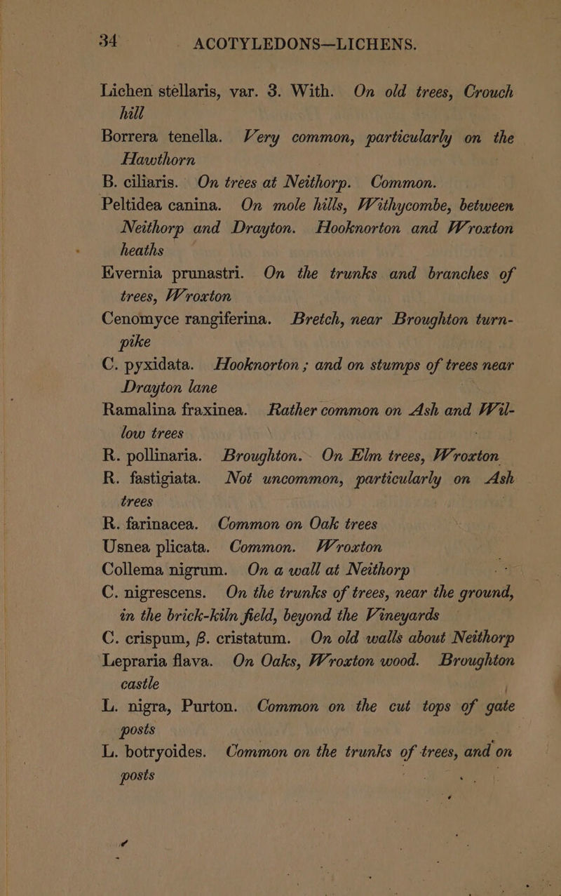 Lichen stellaris, var. 3. With. On old trees, Crouch hilt 2 Borrera tenella. Very common, particularly on the Hawthorn | B. ciliaris. On trees at Neithorp. Common. Peltidea canina. On mole hills, Withycombe, between Neithorp and Drayton. Hooknorton and Wroxton heaths Evernia prunastri. On the trunks and branches of trees, Wroxton Cenomyce rangiferina. Bretch, near Broughton turn- pike C. pyxidata. Hooknorton ; and on stumps of trees near Drayton lane , ay Ramalina fraxinea. Rather common on Ash and Wil- low trees R. pollinaria. Broughton. On Elm trees, Wroxton R. fastigiata. Not uncommon, particularly on Ash trees . R. farinacea. Common on Oak trees Usnea plicata. Common. Wroxton Collema nigrum. On a wall at Neithorp C. nigrescens. On the trunks of trees, near the ground, in the brick-kiln field, beyond the Vineyards C. crispum, 8. cristatum. On old walls about Neithorp Lepraria flava. On Oaks, Wroxton wood. Broughton castle L. nigra, Purton. Common on the cut tops of gate posts L. botryoides. Common on the trunks of trees, and on posts : . Eat