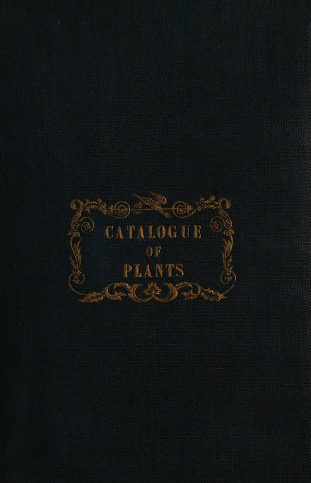 digitised image 1