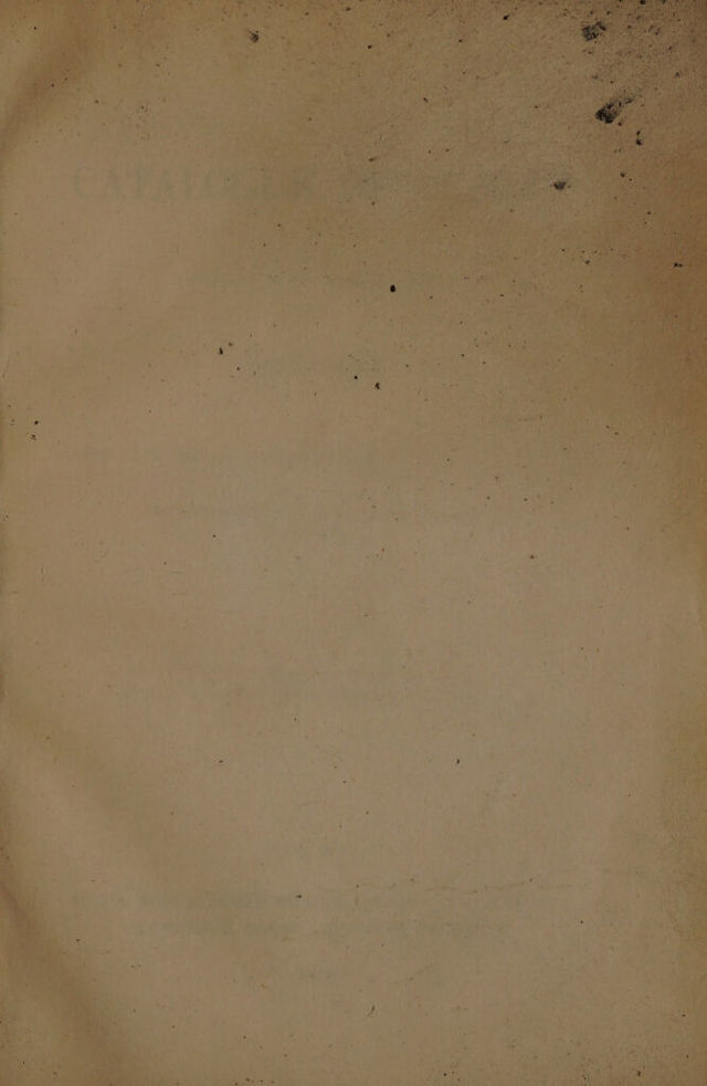 digitised image 3