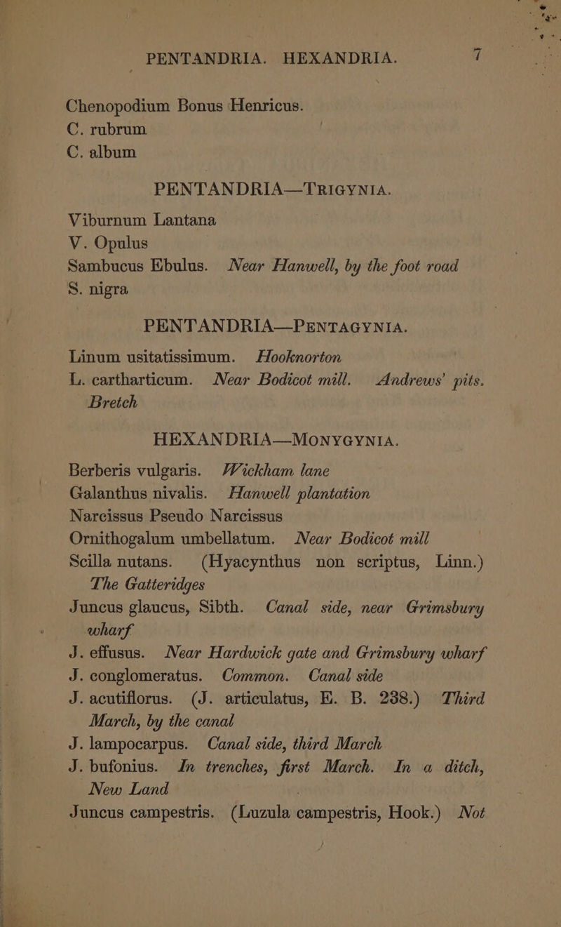 ~} Chenopodium Bonus Henricus. C. rubrum C. album PENTANDRIA—TRIGYNIA. Viburnum Lantana V. Opulus Sambucus Ebulus. Near Hanwell, by the foot road S. nigra PENTANDRIA—PENTAGYNIA. Linum usitatissimum. Hooknorton L. cartharticum. Near Bodicot mill. Andrews’ pits. Bretch HEXANDRIA—MONYe@GYNIA. Berberis vulgaris. Wickham lane Galanthus nivalis. Hanwell plantation Narcissus Pseudo Narcissus Ornithogalum umbellatum. Near Bodicot mill Scilla nutans. (Hyacynthus non scriptus, Linn.) The Gatteridges Juncus glaucus, Sibth. Canal side, near Grimsbury wharf J. effusus. Near Hardwick gate and Grimsbury wharf J. conglomeratus. Common. Canal side J. acutiflorus. (J. articulatus, HE. B. 238.) Third March, by the canal J. lampocarpus. Canal side, third March J. bufonius. In trenches, first March. In a ditch, New Land | Juncus campestris. (Luzula campestris, Hook.) Not