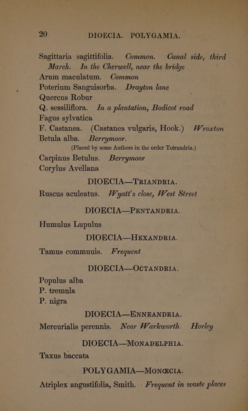 Sagittaria sagittifolia. Common. Canal side, third March. In the Cherwell, near the bridge Arum maculatum. Common Poterium Sanguisorba. Drayton lane Quercus Robur Q. sessiliflora. In a plantation, Bodicot road Fagus sylvatica F. Castanea. (Castanea vulgaris, Hook.) Wroxton Betula alba. Berrymoor. (Placed by some Authors in the order Tetrandria.) Carpinus Betulus. Berrymoor Corylus Avellana ~DIOECIA—TRIANDRIA. Ruscus aculeatus. Wyatt's close, West Street DIOKCIA—PENTANDRIA. Humulus Lupulus DIOEKCIA—HEXANDRIA. Tamus commuuis. Frequent DIOECIA—OCTANDRIA. Populus alba P. tremula P. nigra DIOECIA—ENNEANDRIA. Mercurialis perennis. Near Warkworth. Horley DIOECIA—MONADELPHIA. Taxus baccata ' POLY GAMIA—MONGCIA. Atriplex angustifolia, Smith. Frequent in waste places