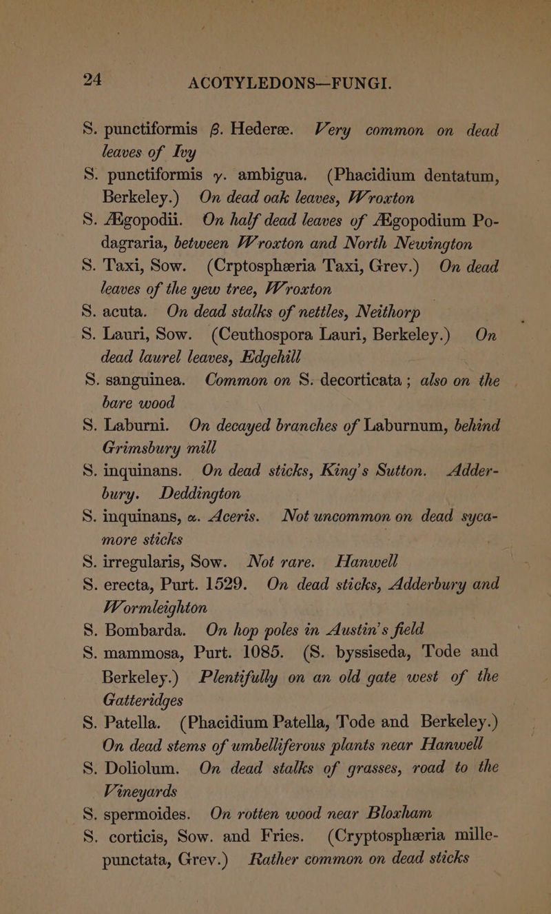 S. punctiformis 6. Hederee. Very common on dead leaves of Ivy S. punctiformis y. ambigua. (Phacidium dentatum, Berkeley.) On dead oak leaves, Wroxton S. Aigopodii. On half dead leaves of AEgopodium Po- dagraria, between Wroxton and North Newington S. Taxi, Sow. (Crptospheria Taxi, Grev.) On dead leaves of the yew tree, Wroxton | S. acuta. On dead stalks of nettles, Neithorp | S. Lauri, Sow. (Ceuthospora Lauri, Berkeley.) On dead laurel leaves, Edgehill S. sanguinea. Common on S. decorticata ; also on the | bare wood S. Laburni. On decayed branches of Laburnum, behind Grimsbury mill S. inguinans. On dead sticks, King’s Sutton. Adder- bury. Deddington S. inquinans, «. Aceris. Not uncommon on dead syca- more sticks ) S. irregularis, Sow. Not rare. Hanwell S. erecta, Purt. 1529. On dead sticks, Adderbury and W ormleighton S. Bombarda. On hop poles in Austin’s field S. mammosa, Purt. 1085. (S. byssiseda, Tode and Berkeley.) Plentifully on an old gate west of the Gatteridges S. Patella. (Phacidium Patella, Tode and Berkeley.) On dead stems of umbelliferous plants near Hanwell S. Doliolum. On dead stalks of grasses, road to the Vineyards S. spermoides. On rotten wood near Bloxham S. corticis, Sow. and Fries. (Cryptospheeria mille- punctata, Grev.) Rather common on dead sticks