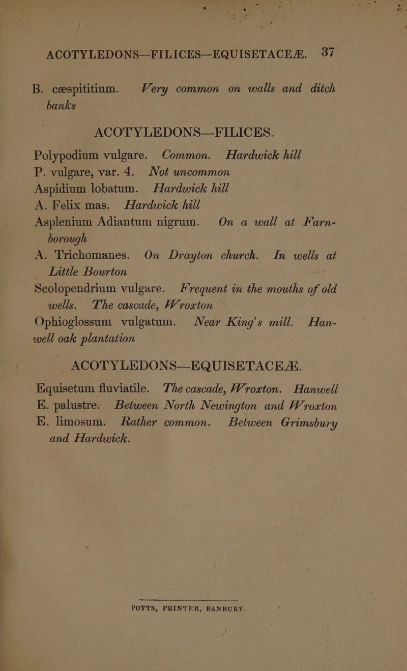 / ACOTYLEDONS—FILICES—EQUISETACER. 37 B. ceespititium. Very common on walls and ditch banks ACOTY LEDONS—FILICES. Polypodium vulgare. Common. Hardwick hill P. vulgare, var. 4. Not uncommon Aspidium lobatum. Hardwick hill A. Felix mas. Hardwick hill Asplenium Adiantum nigrum. On a wall at Farn- borough A. Trichomanes. On Drayton church. In wells at _ Lattle Bourton Scolopendrium vulgare. Frequent in the mouths of old wells. The cascade, Wroxton Ophioglossum vulgatum. Near King’s mill. Han- well oak plantation . _ ACOTY LEDONS—EQUISETACEA. Kquisetum fluviatile. The cascade, Wroxton. Hanwell EK. palustre: Between North Newington and Wroxton K. limosum. Rather common. Between Grimsbury and Hardwick. POTTS, PRINTER, BANBURY.
