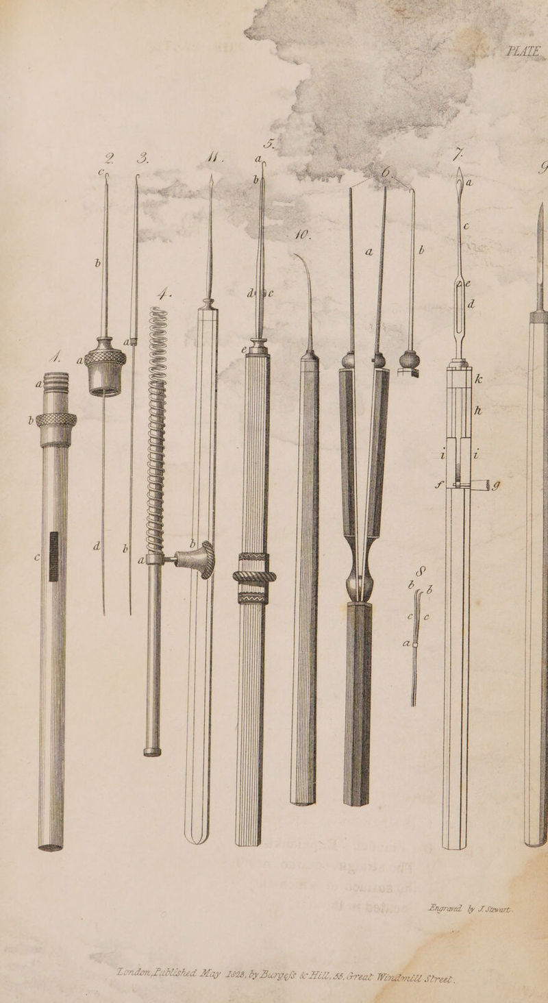 Ri. Sar, Pig FO 4 PLATE Z* ss Bea Lnagraved by J Stewart. 1828, by Burges &amp; Hill, 55, creat Winkionti Slreel.