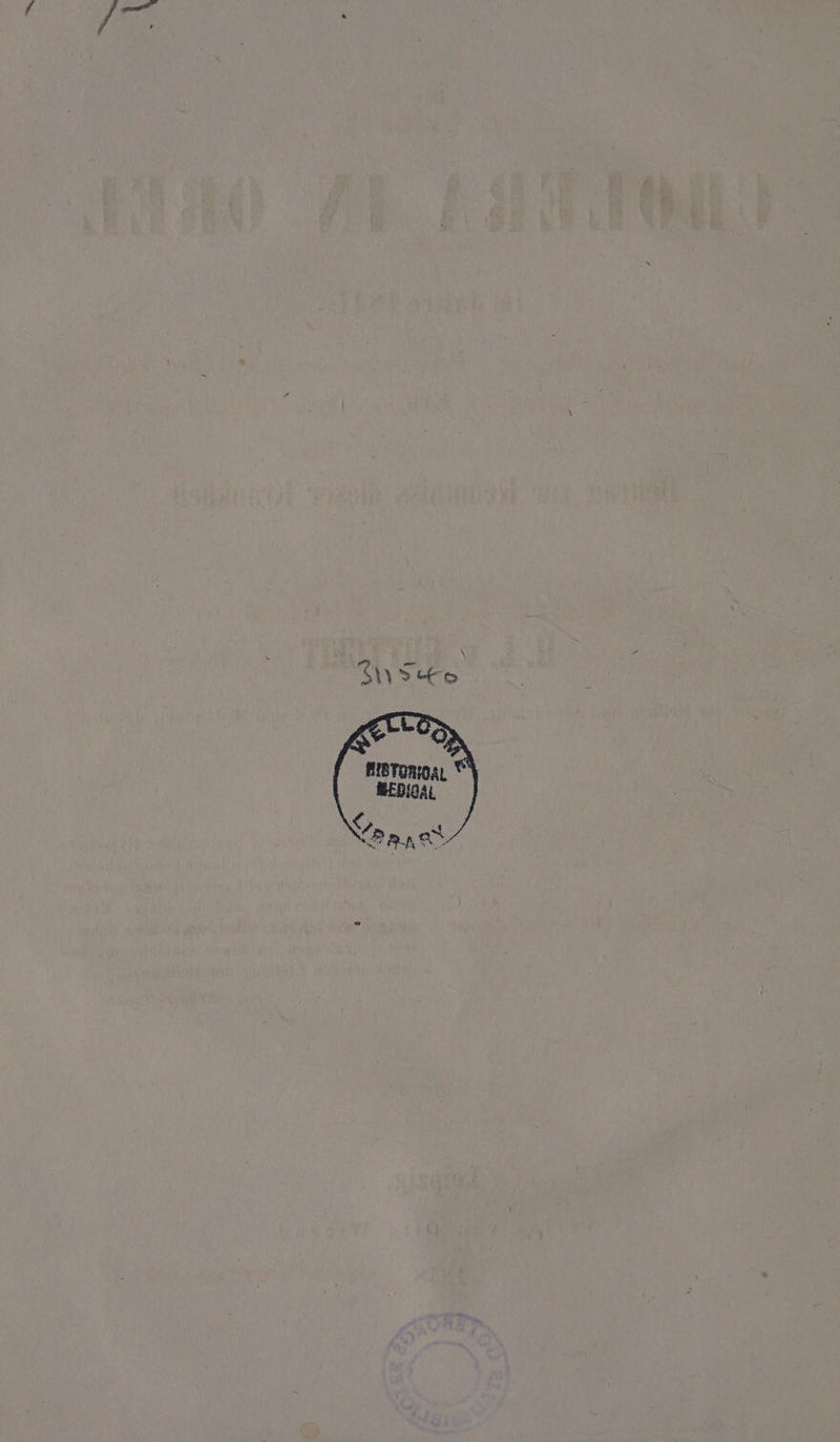 MIBTORFOAL MEDIGAL Ya ana