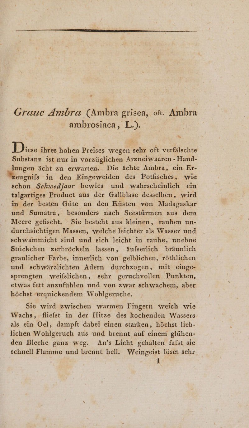 Graue Ambra (Ambra grisea, oft. Ambra ambrosiaca, L.). % Diese ihres hohen Preises wegen sehr oft verfalschte Substanz ist nur in vorziiglichen Arznerwaaren - Hand- lungen dcht zu erwarten. Die achte Ambra, ein Er- eugnifs in den Eingeweiden des Potfisches, wie schon Schwedjaur bewies und wahrscheinlich ein talgartiges Product aus der Gallblase desselben, wird in der besten Giite an den Kiisten von Madagaskar und Sumatra, besonders nach Seestiirmen aus dem Meere gefischt. Sie besteht aus kleinen, rauhen un- durchsichtigen Massen, welche leichter als Wasser und schwamniicht sind und sich leicht in rauhe, unebne Stiickchen zerbréckeln lassen, dAulserlich braunlich graulicher Farbe, innerlich von gelblichen, réthlichen und schwirzlichten Adern durchzogen, mit einge- sprengten weillslichen, sehr gcruchvollen Punkten, etwas fett anzufiihlen und von zwar schwachem, aber héchst ‘erquickendem Wohlgeruche. Sie wird zwischen warmen Fingern weich wie Wachs, fliefst in der Hitze des kochenden Wassers. als ein Oel, dampft dabei einen starken, hichst lieb- lichen Wohlgeruch aus und brennt auf einem gltihen- den Bleche ganz weg. An’s Licht gehalten fafst sie schnell Flamme und brennt hell. Weingeist léset sehr, 4