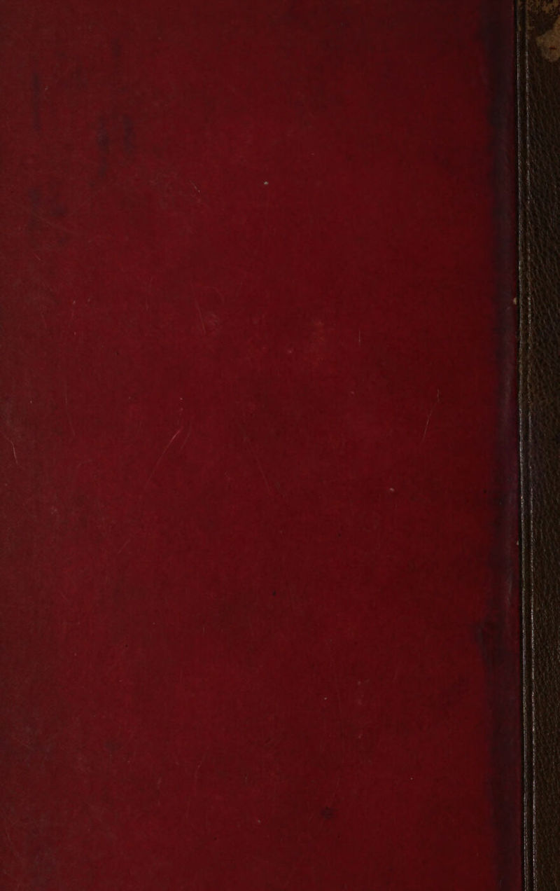 a » - + <j a > : en ee ae: te ere eae ane EE EE STE ete SN | OTe pl EEE RE RE RS I AEE Le SS a —r>