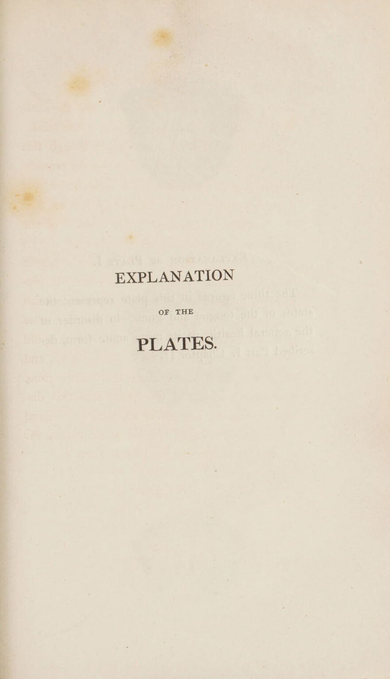 EXPLANATION OF THE PLATES.