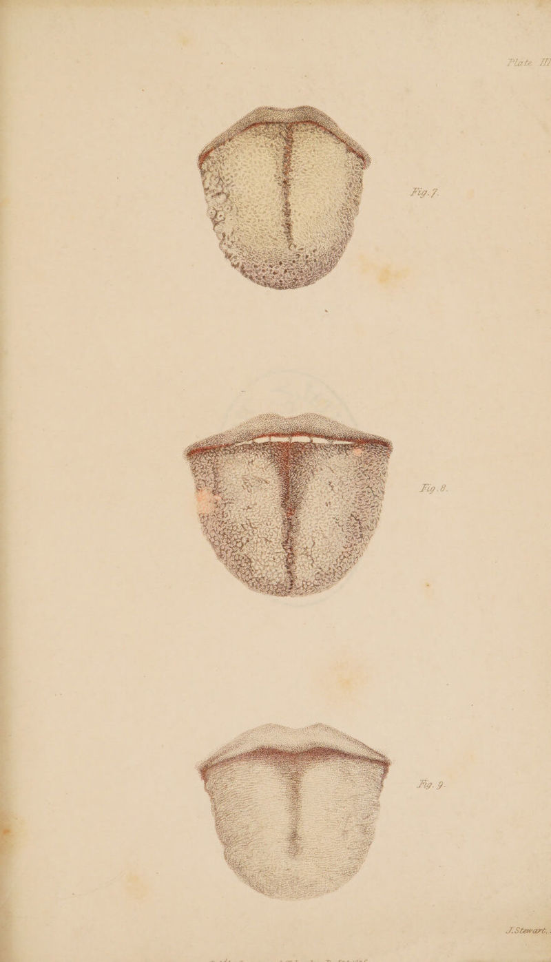 — Fig.8 oC. oe Plate