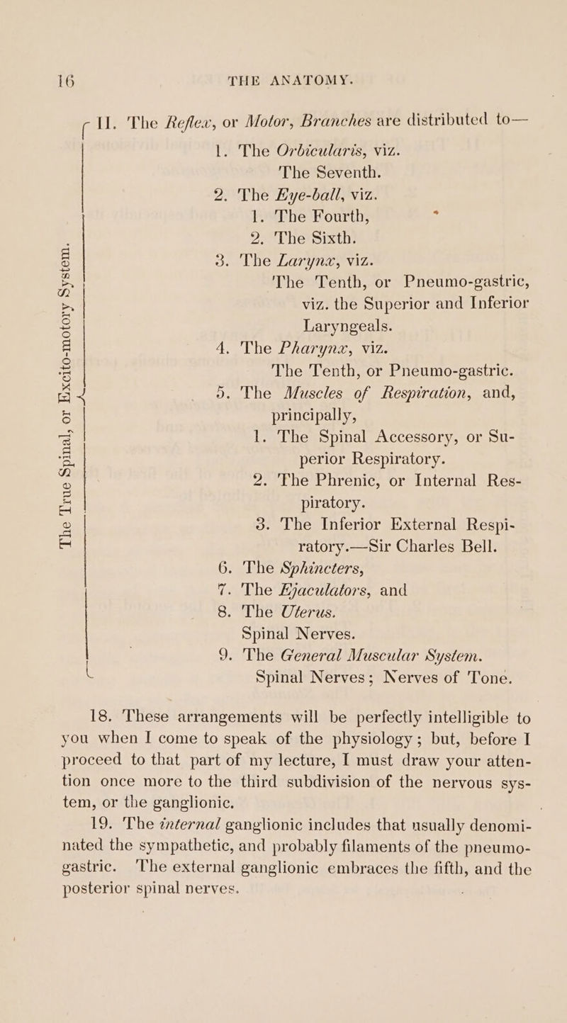 ( 11. The Reflex, or Motor, Branches are distributed to— lL. The Orbicularis, viz. The Seventh. 2. The Lye-ball, viz. 1. The Fourth, = 2. The Sixth. 3. The Laryna, viz. The Tenth, or Pneumo-gastric, viz. the Superior and Inferior Laryngeals. 4. The Pharynz, viz. The Tenth, or Pneumo-gastric. . The Muscles of Respiration, and, principally, 1. The Spinal Accessory, or Su- perior Respiratory. 2. The Phrenic, or Internal Res- piratory. 3. The Inferior External Respi- ratory.—Sir Charles Bell. 6. The Sphincters, . The Ajaculators, and 8. The Uterus. Spinal Nerves. 9. The General Muscular System. Spinal Nerves; Nerves of Tone. The True Spinal, or Excito-motory System. ae on ~y — 18. These arrangements will be perfectly intelligible to you when I come to speak of the physiology; but, before I proceed to that part of my lecture, I must draw your atten- tion once more to the third subdivision of the nervous sys- tem, or the ganglionic. ; 19. The ¢nternal ganglionic includes that usually denomi- nated the sympathetic, and probably filaments of the pneumo- gastric. ‘The external ganglionic embraces the fifth, and the posterior spinal nerves.