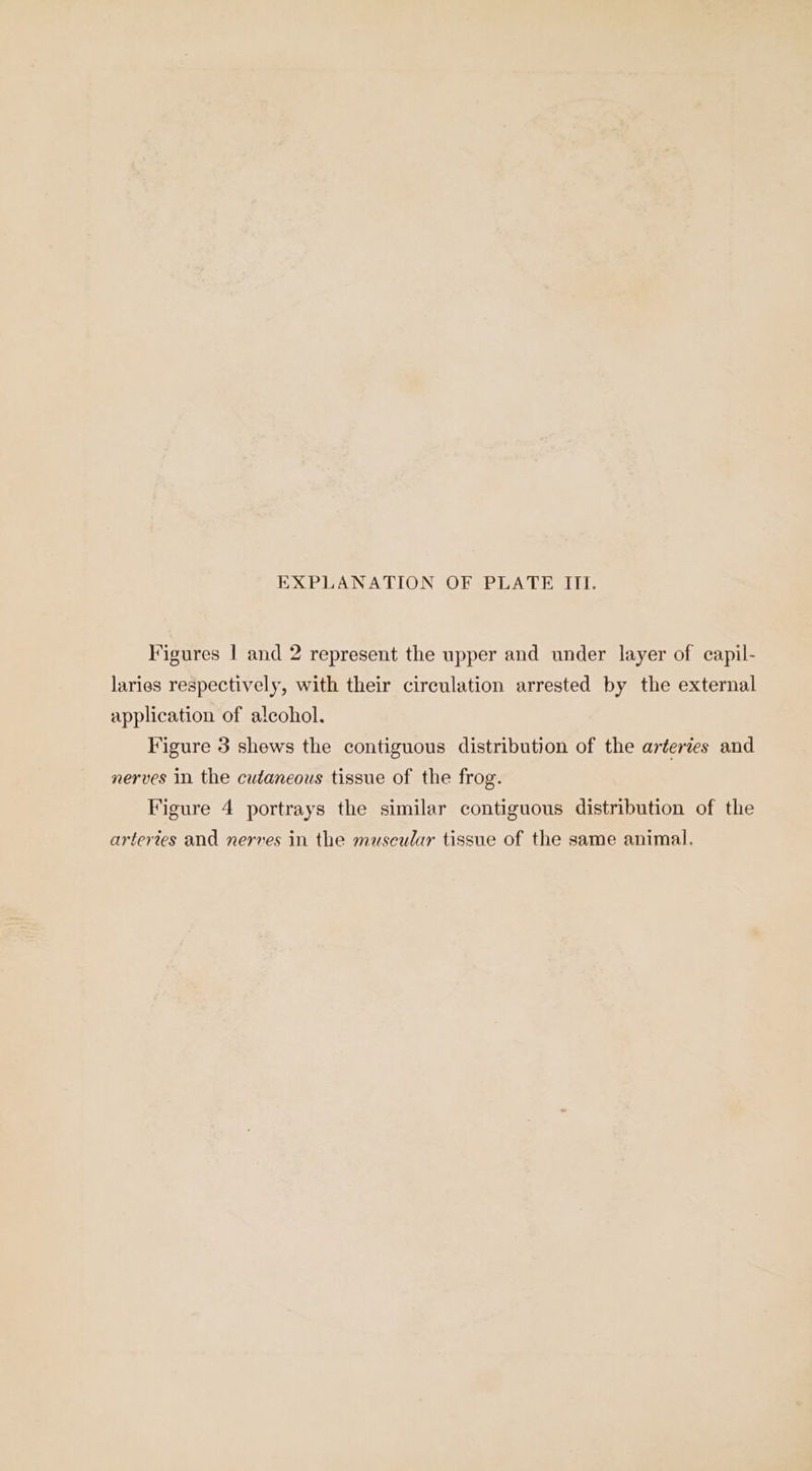 Figures | and 2 represent the upper and under layer of capil- laries respectively, with their circulation arrested by the external application of alcohol. Figure 3 shews the contiguous distribution of the arteries and nerves in the cutaneous tissue of the frog. Figure 4 portrays the similar contiguous distribution of the arteries and nerves in the muscular tissue of the same animal.