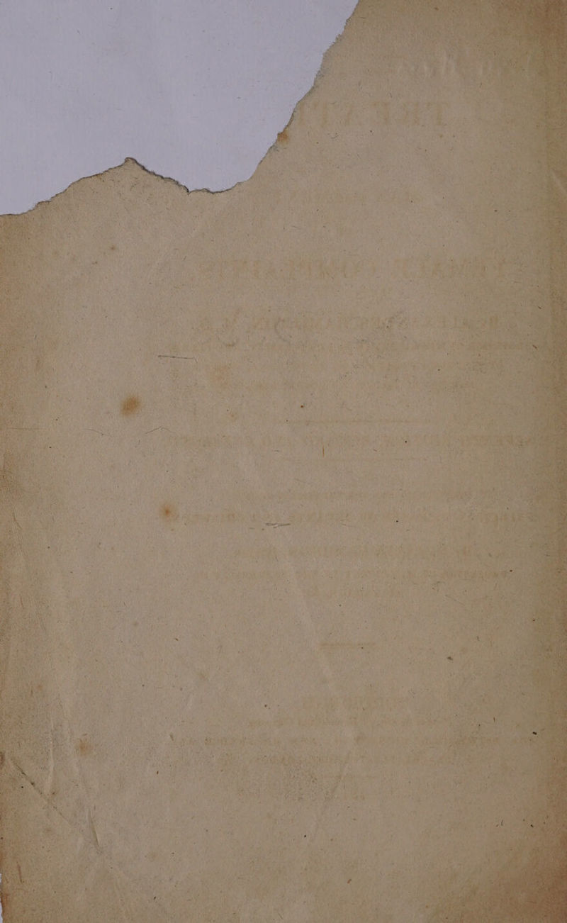 et aS ie t 7 it rT On i ey u 3 i Hy ( re a4 y “ g ’ t D j . dah } ; i i