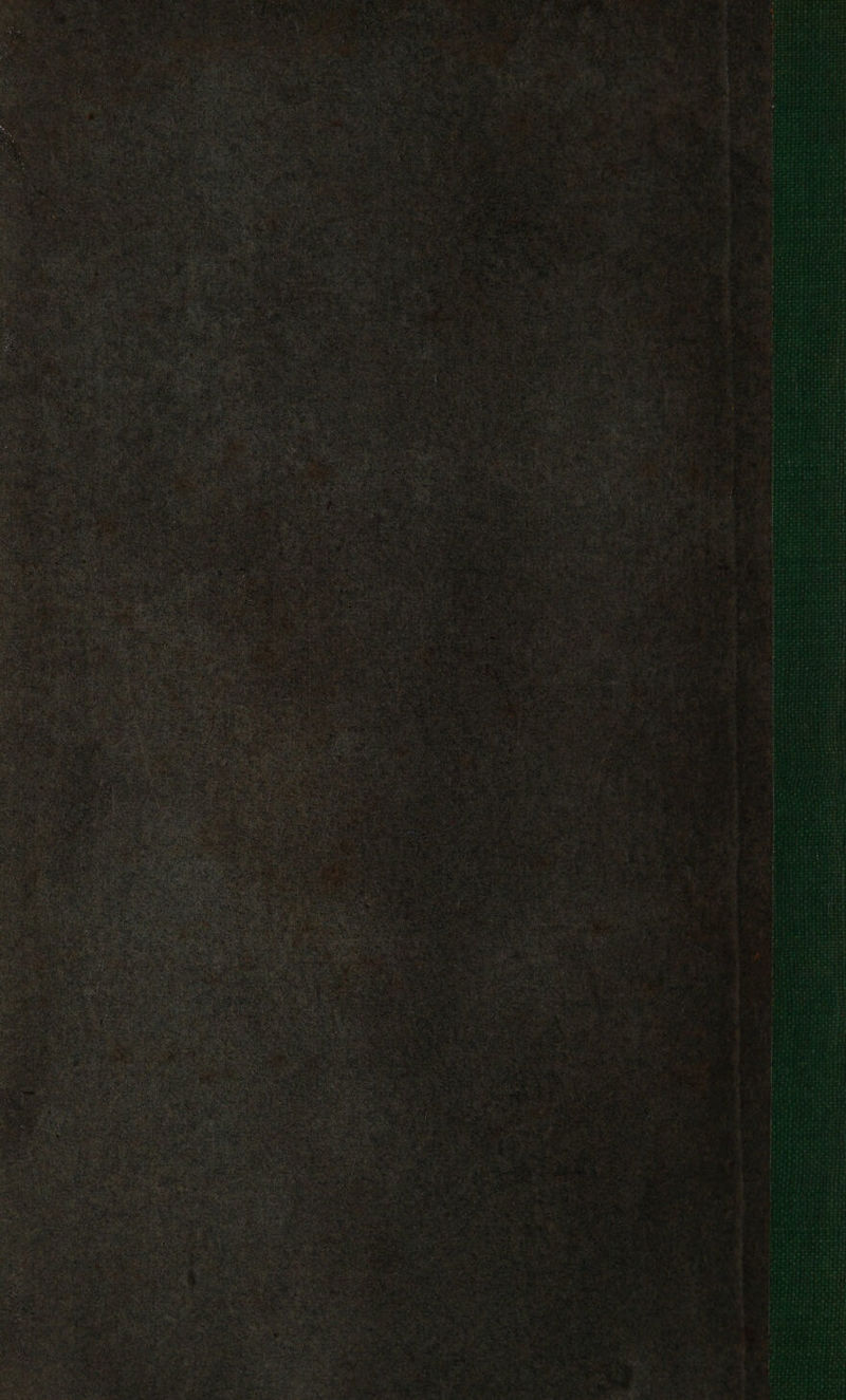 ae Year ie 59 ; . ‘ ; Pe : seo Res gas ; ’ ; : : ; ; ; peeetaee Sepa ’ 1 eke oe 5 tt Bie