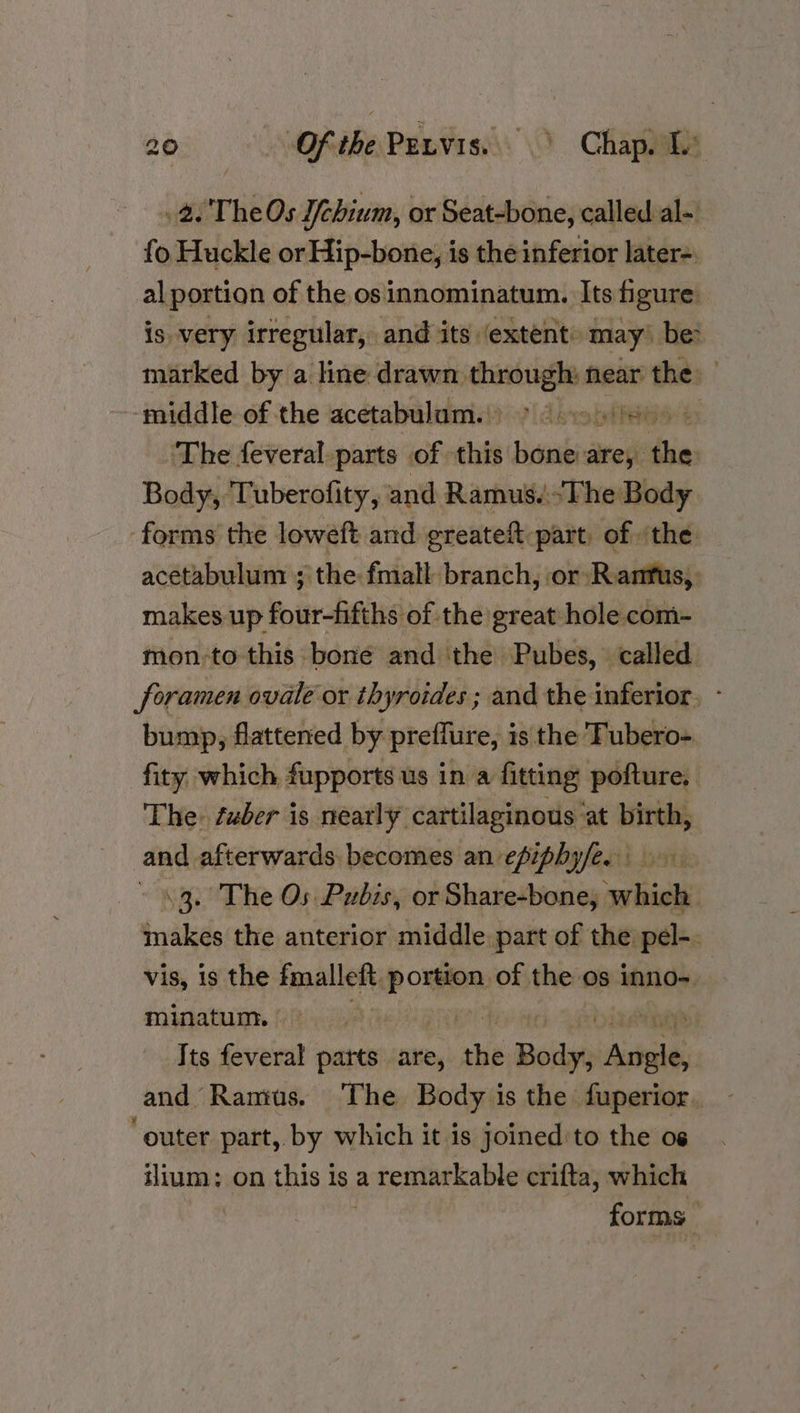 . 2. TheOs Jebium, or Seat-bone, called al- fo Huckle or Hip-bone, is the inferior later. al portion of the os innominatum. Its figure: is very irregular, and its ‘extent: may) Het marked by a line drawn. ee near the: 2 ‘middle of the acetabulum.) > (00) The feveral-parts of. ents Hiesbied are, bin Body, Tuberofity, and Ramus.-The Body. forms the loweft and greatef:part, of the acetabulum ; the fmall branch, or Ranfus,, makes up four-fifths of the great hole com- mon;to this bone and the Pubes, called foramen ovalé or thyroides ; and the inferior. - bump, flattened by preffure, is the Tubero- fity which fupports us in a fitting pofture, The. suber is nearly cartilaginous at birth, and afterwards becomes an epiphy/e. 43. The Os Pubis, or Share-bone, which makes the anterior middle part of the pel-. vis, is the fmalleft nom of the os inno- minatum. | Its feveral parts are, habe Body, Pars and Ramus. ‘The Body is the fuperior. ‘outer part, by which it is joined to the os tllum:; on this is a a remarkable erifta, which forms