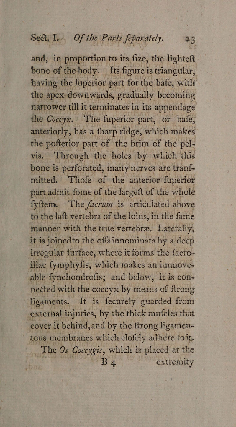and, in proportion to its fize, the lighteft bone of the body. — Tts figure is triangular, having t the fuperior part for the bafe, with the apex: downwards, gradually becoming narrower till it terminates in its appendage the Coceys. The fuperior part, or bafe, anteriorly, has a harp ridge, which wakes the pofterior part of the brim of the pel- vis. Through the holes by ‘which this bone is perforated, manly nerves are tranf- mitted. Thofe of the anterior fuperior part admit fome of the largeft of the wholé fyftenw. The facrum is articulated above to the laft vertebra of the loins, in the fame manner with the true vertebrez. Laterally, it is joinedto the oflainnominata by a deep irregular furface, where it forms the facto- iliac fymphyfis, which makes an immove- able fynchondrefis; and below, it is con- nected with the coccyx by means of ftrong ligaments. It is fecurely guarded from external i injuries, by the thick mufcles that cover i it behind, and by the ftrong lizamen- tous membranes which clofely adhere to it, The Os Goceygis, which is placed at the Bg extremity