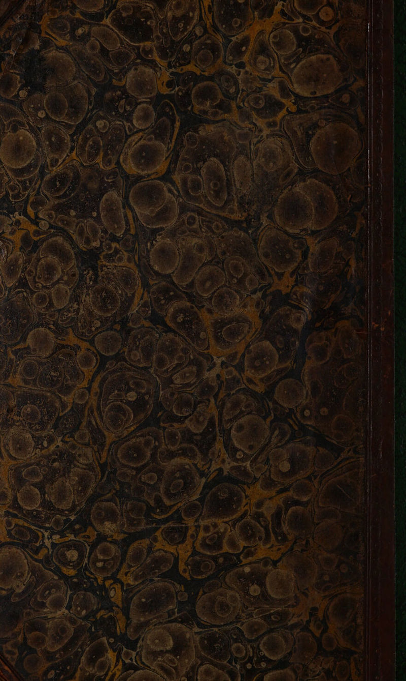 y - * - ¥ <a a ‘ - - ad .= pa = , : -_——- — a ee ee eee —— ee Ie a en ee ee ners ei - 7 2 E ~s - Dt cane - — al, 6 gti Se eee Pi Oe em a — - a ae 2 - — Sou ees t 2 : ee ore 4 Sie aia ae - ~ / P3 - — ya . om J R - = : - ~ - - 7 ~ - - ~ h ~ 5 - - ~ - ae . 5 7 z ~ é ~ a cn a er er reece. nn fans ar atm ne ete a St pene en ent st a Sp a ie an - -—- ee een nae atin ane wists ~ a A EE a a en a te re SE ee ae TTR TE a mA Ne Ae SS a a cy i em — Stet cee IT DOT eh Se CSN LO AE a OY) SNE a a . ee | ae aie é peas Eee ae = s —