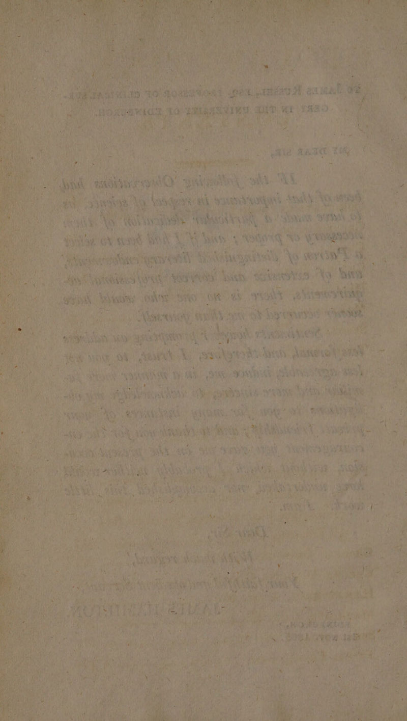 oN ra et z P anath bi dil j Ronee’ MES) Gs sy icy oie quis , re ane Ay er me ae ca isch aD, ex ae * ak wis VAY 5 Sa Reh oF ae BOs 3 Xi mes Aa dy ay tis sr: spaces y | ae ! mY, . ID ss aig ays - “Biewest inset ee Ks pa pe po in oh n 9 » bai | | oe a is ieee rite mY panes 8 ES ne vad i } ‘ahi, 2 areuele rit des ‘ant Pee, 2 i we Bat 4 . ' dott Wy asalye® pHa 0 dase aa be a yy. We M ae “vk Ss Lh rn Boa pees Pa yin a apr aoe Re, Si: My ih, ‘i ae i Gh wot” a aya 2 th bee ; vaste Brey ee s an hes ly HR, they Wy ia } eee ty ( tie ~*~ on F &gt; : fe ie * h Yaad ic if bel a ‘ed are