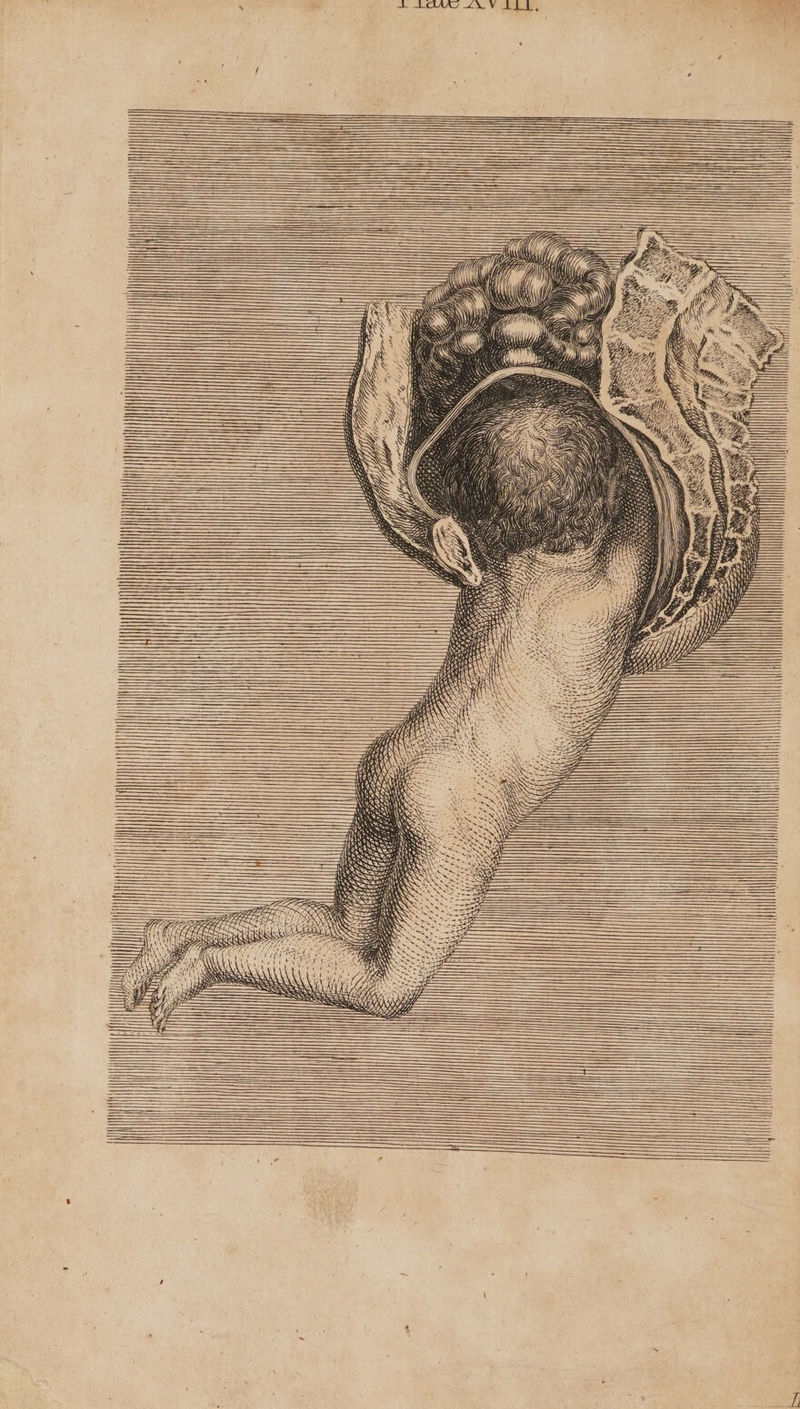 — ZsZ rt nee de Fae,