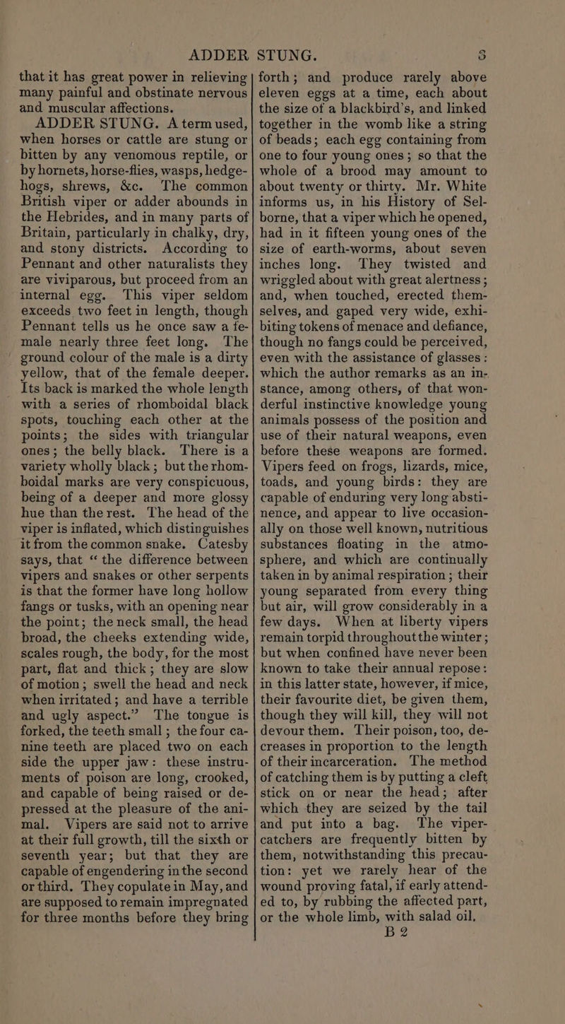 ADDER that it has great power in relieving many painful and obstinate nervous and muscular affections. ADDER STUNG. A term used, when horses or cattle are stung or bitten by any venomous reptile, or by hornets, horse-flies, wasps, hedge- hogs, shrews, &amp;c. The common British viper or adder abounds in the Hebrides, and in many parts of Britain, particularly in chalky, dry, and stony districts. According to Pennant and other naturalists they are viviparous, but proceed from an internal egg. This viper seldom exceeds two feet in length, though Pennant tells us he once saw a te- male nearly three feet long. The _ ground colour of the male is a dirty yellow, that of the female deeper. Its back is marked the whole length with a series of rhomboidal black spots, touching each other at the points; the sides with triangular ones ; the belly black. There is a variety wholly black ; but the rhom- boidal marks are very conspicuous, being of a deeper and more glossy hue than the rest. The head of the viper is inflated, which distinguishes it from the common snake. Catesby says, that “the difference between vipers and snakes or other serpents is that the former have long hollow fangs or tusks, with an opening near the point; the neck small, the head broad, the cheeks extending wide, scales rough, the body, for the most part, flat and thick; they are slow of motion; swell the head and neck when irritated; and have a terrible and ugly aspect.” The tongue is forked, the teeth small ; the four ca- nine teeth are placed two on each side the upper jaw: these instru- ments of poison are long, crooked, and capable of being raised or de- pressed at the pleasure of the ani- mal. Vipers are said not to arrive at their full growth, till the sixth or seventh year; but that they are capable of engendering inthe second orthird. They copulate in May, and are supposed to remain impregnated for three months before they bring STUNG. 5 forth; and produce rarely above eleven eggs at a time, each about the size ot a blackbird’s, and linked together in the womb like a string of beads; each egg containing from one to four young ones; so that the whole of a brood may amount to about twenty or thirty. Mr. White informs us, in his History of Sel- borne, that a viper which he opened, had in it fifteen young ones of the size of earth-worms, about seven inches long. ‘They twisted and wriggled about with great alertness ; and, when touched, erected them- selves, and gaped very wide, exhi- biting tokens of menace and defiance, though no fangs could be perceived, even with the assistance of glasses : which the author remarks as an in- stance, among others, of that won- derful instinctive knowledge young animals possess of the position and use of their natural weapons, even before these weapons are formed. Vipers feed on frogs, lizards, mice, toads, and young birds: they are capable of enduring very long absti- nence, and appear to live occasion- ally on those well known, nutritious substances floating in the atmo- sphere, and which are continually taken in by animal respiration ; their young separated from every thing but air, will grow considerably in a few days. When at liberty vipers remain torpid throughout the winter ; but when confined have never been known to take their annual repose: in this latter state, however, if mice, their favourite diet, be given them, though they will kill, they will not devourthem. Their poison, too, de- creases in proportion to the length of their incarceration. The method of catching them is by putting a cleft stick on or near the head; after which they are seized by the tail and put into a bag. The viper- catchers are frequently bitten by them, notwithstanding this precau- tion: yet we rarely hear of the wound proving fatal, if early attend- ed to, by rubbing the affected part, or the whole limb, with salad oil, B2