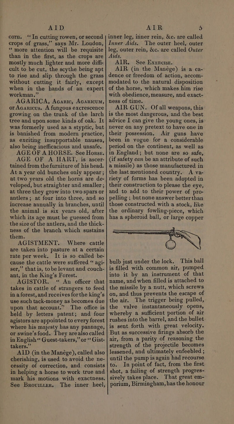 AID corn. ‘In cutting rowen, or second crops of grass,”” says Mr. Loudon, “more attention will be requisite than in the first, as the crops are mostly much lighter and more diffi- cult to be cut, the scythe being apt to rise and slip through the grass without cutting it fairly, except when in the hands of an expert workman.” AGARICA, Acaric, Acaricum, or Acaricus. A fungous excrescence growing on the trunk of the larch tree and upon some kinds of oak. It was formerly used as a styptic, but is banished from modern practice, as exciting insupportable nausea, also being inefficacious and unsafe. AGE OF A HORSE. See Horse. AGE OF A HART, is ascer- tained from the furniture of his head. At a year old bunches only appear ; at two years old the horns are de- veloped, but straighter and smaller ; at three they grow into two spars or antlers; at four into three, and so increase annually in branches, until the animal is six years old, after which its age must be guessed from the size of the antlers, and the thick- ness of the branch which sustains them. AGISTMENT. Where cattle are taken into pasture at a certain rate per week. It is so called be- cause the cattle were suffered “ agi- ser,” thatis, tobe levant and couch- ant, in the King’s Forest. _ AGISTOR. &lt;“ An officer that takes in cattle of strangers to feed in a forest, and receives forthe king’s use such tack-money as becomes due upon that account.” The office is held by letters patent; and four agistors are appointed to every forest where his majesty has any pannage, or swine’s food. They arealso called in English “ Guest-takers,” or ‘‘ Gist- takers.” AID (in the Manége), called also cherishing, is used to avoid the ne- cessity of correction, and consists in helping a horse to work true and mark his motions with exactness. See Brovitter. The inner heel, AIR 5 inner leg, inner rein, &amp;c. are called Inner Aids. ‘The outer heel, outer leg, outer rein, &amp;c.-are called Outer Aids. AIR. See Exercise. AIR (in the Manége) is a ca- dence or freedom of action, accom- modated to the natural disposition of the horse, which makes him rise with obedience, measure, and exact- ness of time. AIR GUN. Of all weapons, this is the most dangerous, and the best advice I can give the young ones, is never On any pretext to have one in their possession. Air guns have been in vogue for a considerable period on the continent, as well as in England; but none are so safe, (if safety can be an attribute of such a missile) as those manufactured in the last mentioned country. A va- riety of forms has been adopted in their construction to please the eye, and to add to their power of pro- pelling ; but none answer better than those constructed with a stock, like the ordinary fowling-piece, which has a spheroid ball, or large copper bulb just under the lock. This ball is filled with common air, pumped into it by an instrument of that name, and when filled is attached to the missile by a nutt, which screws on, and thus prevents the escape of the air. The trigger being pulled, the valve instantaneously opens, whereby a sufficient portion of air rushes into the barrel, and the bullet is sent forth with great velocity. But as successive firings absorb the air, from a parity of reasoning the strength of the projectile becomes lessened, and ultimately enfeebled ; until the pump is again had recourse to. In point of fact, from the first shot, a failing of strength progres- sively takes place. That great em- porium, Birmingham, has the honour