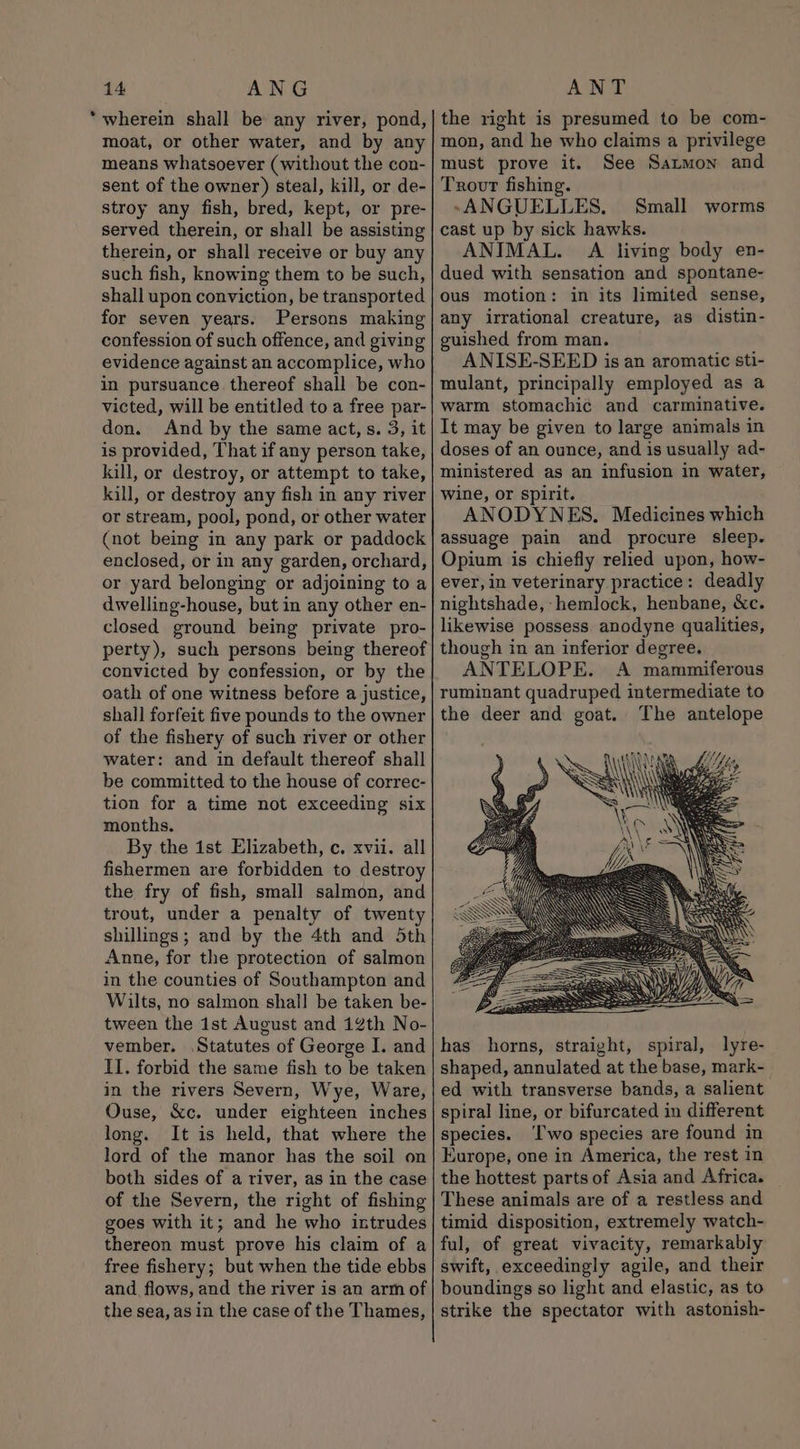 ‘wherein shall be any river, pond, moat, or other water, and by any means whatsoever (without the con- sent of the owner) steal, kill, or de- stroy any fish, bred, kept, or pre- served therein, or shall be assisting therein, or shall receive or buy any such fish, knowing them to be such, shall upon conviction, be transported for seven years. Persons making confession of such offence, and giving evidence against an accomplice, who in pursuance thereof shall be con- victed, will be entitled to a free par- don. And by the same act, s. 3, it is provided, That if any person take, kill, or destroy, or attempt to take, kill, or destroy any fish in any river or stream, pool, pond, or other water (not being in any park or paddock enclosed, or in any garden, orchard, or yard belonging or adjoining to a dwelling-house, but in any other en- closed ground being private pro- perty), such persons being thereof convicted by confession, or by the oath of one witness before a justice, shall forfeit five pounds to the owner of the fishery of such river or other water: and in default thereof shall be committed to the house of correc- tion for a time not exceeding six months. By the ist Elizabeth, c. xvii. all fishermen are forbidden to destroy the fry of fish, small salmon, and trout, under a penalty of twenty shillings; and by the 4th and 5th Anne, for the protection of salmon in the counties of Southampton and Wilts, no salmon shall be taken be- tween the ist August and 12th No- vember. Statutes of George I. and Il. forbid the same fish to be taken in the rivers Severn, Wye, Ware, Ouse, &amp;c. under eighteen inches long. It is held, that where the lord of the manor has the soil on both sides of a river, as in the case of the Severn, the right of fishing goes with it; and he who intrudes thereon must prove his claim of a free fishery; but when the tide ebbs and flows, and the river is an arm of the sea, as in the case of the Thames, the right is presumed to be com- mon, and he who claims a privilege must prove it. See Sazmon and Trovt fishing. »~ANGUELLES, Small worms cast up by sick hawks. ANIMAL. A living body en- dued with sensation and spontane- ous motion: in its limited sense, any irrational creature, as distin- guished from man. ANISE-SEED is an aromatic sti- mulant, principally employed as a warm stomachic and carminative. It may be given to large animals in doses of an ounce, and is usually ad- ministered as an infusion in water, wine, or spirit. ANODYNES. Medicines which assuage pain and procure sleep. Opium is chiefly relied upon, how- ever, in veterinary practice: deadly nightshade, hemlock, henbane, &amp;c. likewise possess anodyne qualities, though in an inferior degree. ANTELOPE. A mammiferous ruminant quadruped intermediate to the deer and goat. The antelope al has horns, straight, spiral, lyre- shaped, annulated at the base, mark- ed with transverse bands, a salient spiral line, or bifurcated in different species. ‘I'wo species are found in Europe, one in America, the rest in the hottest parts of Asia and Africa. These animals are of a restless and timid disposition, extremely watch- ful, of great vivacity, remarkably swift, exceedingly agile, and their boundings so light and elastic, as to strike the spectator with astonish-