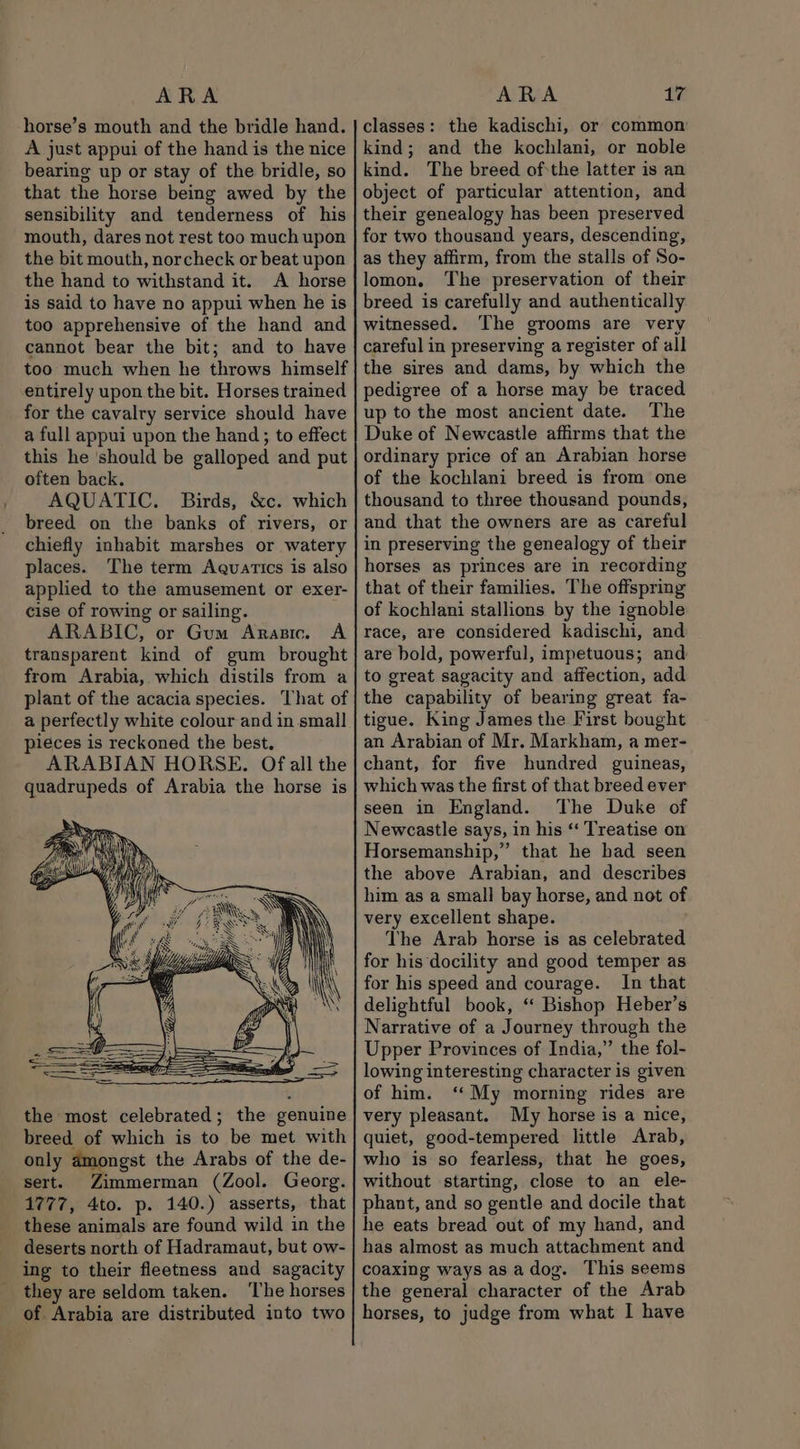 ARA horse’s mouth and the bridle hand. A just appui of the hand is the nice bearing up or stay of the bridle, so that the horse being awed by the sensibility and tenderness of his mouth, dares not rest too much upon the bit mouth, norcheck or beat upon the hand to withstand it. A horse is said to have no appui when he is too apprehensive of the hand and cannot bear the bit; and to have too much when he throws himself entirely upon the bit. Horses trained for the cavalry service should have a full appui upon the hand; to effect this he should be galloped and put often back. AQUATIC. Birds, &amp;c. which breed on the banks of rivers, or chiefly inhabit marshes or watery places. The term Aquatics is also applied to the amusement or exer- cise of rowing or sailing. ARABIC, or Gum Arasic. A transparent kind of gum brought from Arabia, which distils from a plant of the acacia species. That of a perfectly white colour and in small pieces is reckoned the best. ARABIAN HORSE. Of all the quadrupeds of Arabia the horse is the most celebrated; the genuine breed of which is to be met with only amongst the Arabs of the de- sert. Zimmerman (Zool. Georg. 1777, 4to. p. 140.) asserts, that these animals are found wild in the deserts north of Hadramaut, but ow- ing to their fleetness and sagacity _ they are seldom taken. ‘The horses ARA pir classes: the kadischi, or common kind; and the kochlani, or noble kind. The breed ofthe latter is an object of particular attention, and their genealogy has been preserved for two thousand years, descending, as they affirm, from the stalls of So- lomon. The preservation of their breed is carefully and authentically witnessed. The grooms are very careful in preserving a register of all the sires and dams, by which the pedigree of a horse may be traced up to the most ancient date. The Duke of Newcastle affirms that the ordinary price of an Arabian horse of the kochlani breed is from one thousand to three thousand pounds, and that the owners are as careful in preserving the genealogy of their horses as princes are in recording that of their families. The offspring of kochlani stallions by the ignoble race, are considered kadischi, and are bold, powerful, impetuous; and to great sagacity and affection, add the capability of bearing great fa- tigue. King James the First bought an Arabian of Mr. Markham, a mer- chant, for five hundred guineas, which was the first of that breed ever seen in England. The Duke of Newcastle says, in his “‘ Treatise on Horsemanship,” that he had seen the above Arabian, and describes him as a small bay horse, and not of very excellent shape. The Arab horse is as celebrated for his docility and good temper as for his speed and courage. In that delightful book, “ Bishop Heber’s Narrative of a Journey through the Upper Provinces of India,” the fol- lowing interesting character is given of him. ‘‘My morning rides are very pleasant. My horse is a nice, quiet, good-tempered little Arab, who is so fearless, that he goes, without starting, close to an ele- phant, and so gentle and docile that he eats bread out of my hand, and has almost as much attachment and coaxing ways as adog. This seems the general character of the Arab