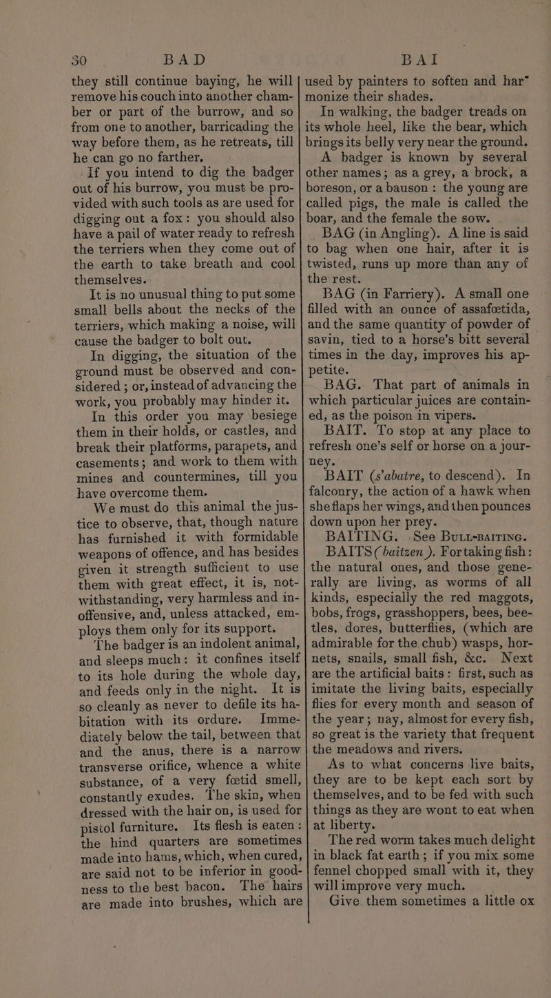 they still continue baying, he will remove his couch into another cham- ber or part of the burrow, and so from one to another, barricading the way before them, as he retreats, till he can go no farther, If you intend to dig the badger out of his burrow, you must be pro- vided with such tools as are used for digging out a fox: you should also have a pail of water ready to refresh the terriers when they come out of the earth to take breath and cool themselves. It is no unusual thing to put some small bells about the necks of the terriers, which making a noise, will cause the badger to bolt out. In digging, the situation of the ground must be observed and con- sidered ; or, instead of advancing the work, you probably may hinder it. In this order you may besiege them in their holds, or castles, and break their platforms, parapets, and casements; and work to them with mines and countermines, till you have overcome them. We must do this animal the jus- tice to observe, that, though nature has furnished it with formidable weapons of offence, and has besides given it strength suflicient to use them with great effect, it is, not- withstanding, very harmless and in- offensive, and, unless attacked, em- ploys them only for its support. The badger is an indolent animal, and sleeps much: it confines itself to its hole during the whole day, and feeds only in the night. It is so cleanly as never to defile its ha- bitation with its ordure. Imme- diately below the tail, between that and the anus, there is a narrow transverse orifice, whence a white substance, of a very fcetid smell, constantly exudes. The skin, when dressed with the hair on, is used for pistol furniture. Its flesh is eaten : the hind quarters are sometimes made into hams, which, when cured, are said not to be inferior in good- ness to the best bacon. The hairs are made into brushes, which are used by painters to soften and har* monize their shades. In walking, the badger treads on its whole heel, like the bear, which brings its belly very near the ground. A badger is known by several other names; as a grey, a brock, a boreson, or a bauson : the young are called pigs, the male is called the boar, and the female the sow. BAG (in Angling). A line is said to bag when one hair, after it is twisted, runs up more than any of the rest. BAG (in Farriery). A small one filled with an ounce of assafcetida, and the same quantity of powder of © savin, tied to a horse’s bitt several times in the day, improves his ap- petite. BAG. That part of animals in which particular juices are contain- ed, as the poison in vipers. BAIT. To stop at any place to refresh one’s self or horse on a jour- ney. BAIT (s’abatre, to descend). In falconry, the action of a hawk when she flaps her wings, and then pounces down upon her prey. BAITING. \See Butt-artine. BAITS ( baitzen_). For taking fish: the natural ones, and those gene- rally are living, as worms of all kinds, especially the red maggots, bobs, frogs, grasshoppers, bees, bee- tles, dores, butterflies, (which are admirable for the chub) wasps, hor- nets, snails, small fish, &amp;c. Next are the artificial baits: first, such as imitate the living baits, especially flies for every month and season of the year; nay, almost for every fish, so great is the variety that frequent the meadows and rivers. As to what concerns live baits, they are to be kept each sort by themselves, and to be fed with such things as they are wont to eat when at liberty. The red worm takes much delight in black fat earth; if you mix some fennel chopped small with it, they will improve very much. Give them sometimes a little ox