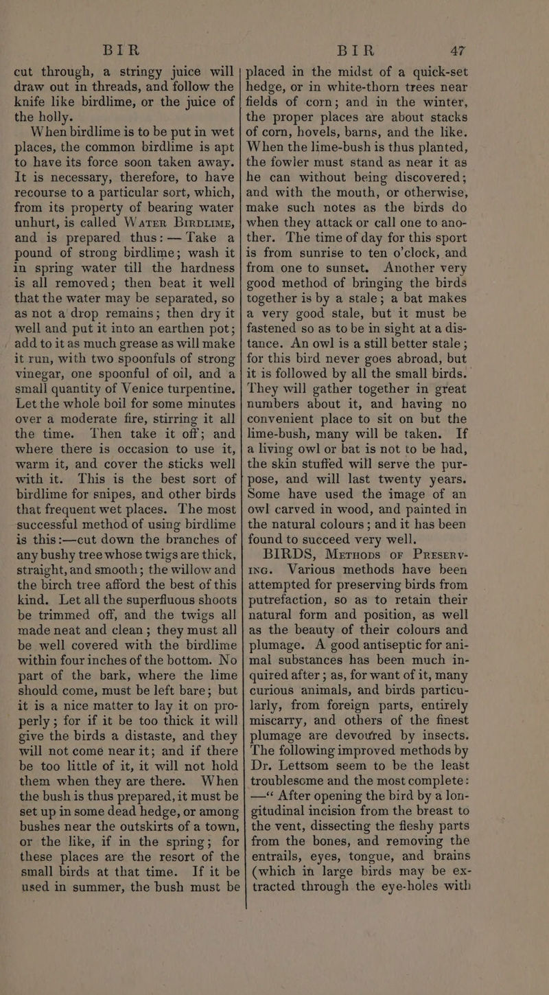 BIER cut through, a stringy juice will draw out in threads, and follow the knife like birdlime, or the juice of the holly. When birdlime is to be put in wet places, the common birdlime is apt to have its force soon taken away. It is necessary, therefore, to have recourse to a particular sort, which, from its property of bearing water unhurt, is called Water Brrpuime, and is prepared thus: — Take a pound of strong birdlime; wash it in spring water till the hardness is all removed; then beat it well that the water may be separated, so as not a'drop remains; then dry it well and put it into an earthen pot; _ add to it as much grease as will make it run, with two spoonfuls of strong vinegar, one spoonful of oil, and a small quantity of Venice turpentine. Let the whole boil for some minutes over a moderate fire, stirring it all the time. Then take it off; and where there is occasion to use it, warm it, and cover the sticks well with it. This is the best sort of birdlime for snipes, and other birds that frequent wet places. The most successful method of using birdlime is this:—cut down the branches of any bushy tree whose twigs are thick, straight, and smooth; the willow and the birch tree afford the best of this kind. Let all the superfluous shoots be trimmed off, and the twigs all made neat and clean; they must all be well covered with the birdlime within four inches of the bottom. No part of the bark, where the lime should come, must be left bare; but it is a nice matter to lay it on pro- perly ; for if it be too thick it will give the birds a distaste, and they will not come near it; and if there be too little of it, it will not hold them when they are there. When the bush is thus prepared, it must be set up in some dead hedge, or among bushes near the outskirts of a town, or the like, if in the spring; for these places are the resort of the small birds at that time. If it be used in summer, the bush must be BIR 47 placed in the midst of a quick-set hedge, or in white-thorn trees near fields of corn; and in the winter, the proper places are about stacks of corn, hovels, barns, and the like. When the lime-bush is thus planted, the fowler must stand as near it as he can without being discovered; and with the mouth, or otherwise, make such notes as the birds do when they attack or call one to ano- ther. The time of day for this sport is from sunrise to ten o'clock, and from one to sunset. Another very good method of bringing the birds together is by a stale; a bat makes a very good stale, but it must be fastened so as to be in sight at a dis- tance. An owl is a still better stale ; for this bird never goes abroad, but it is followed by all the small birds. They will gather together in great numbers about it, and having no convenient place to sit on but the lime-bush, many will be taken. If a living owl or bat is not to be had, the skin stuffed will serve the pur- pose, and will last twenty years. Some have used the image of an owl carved in wood, and painted in the natural colours; and it has been found to succeed very well. BIRDS, Meruops or Preserv- nc. Various methods have been attempted for preserving birds from putrefaction, so as to retain their natural form and position, as well as the beauty of their colours and plumage. A good antiseptic for ani- mal substances has been much in- quired after ; as, for want of it, many curious animals, and birds particu- larly, from foreign parts, entirely miscarry, and others of the finest plumage are devoured by insects. The following improved methods by Dr. Lettsom seem to be the least troublesome and the most complete: —‘ After opening the bird by a lon- gitudinal incision from the breast to the vent, dissecting the fleshy parts from the bones, and removing the entrails, eyes, tongue, and brains (which in large birds may be ex- tracted through the eye-holes with